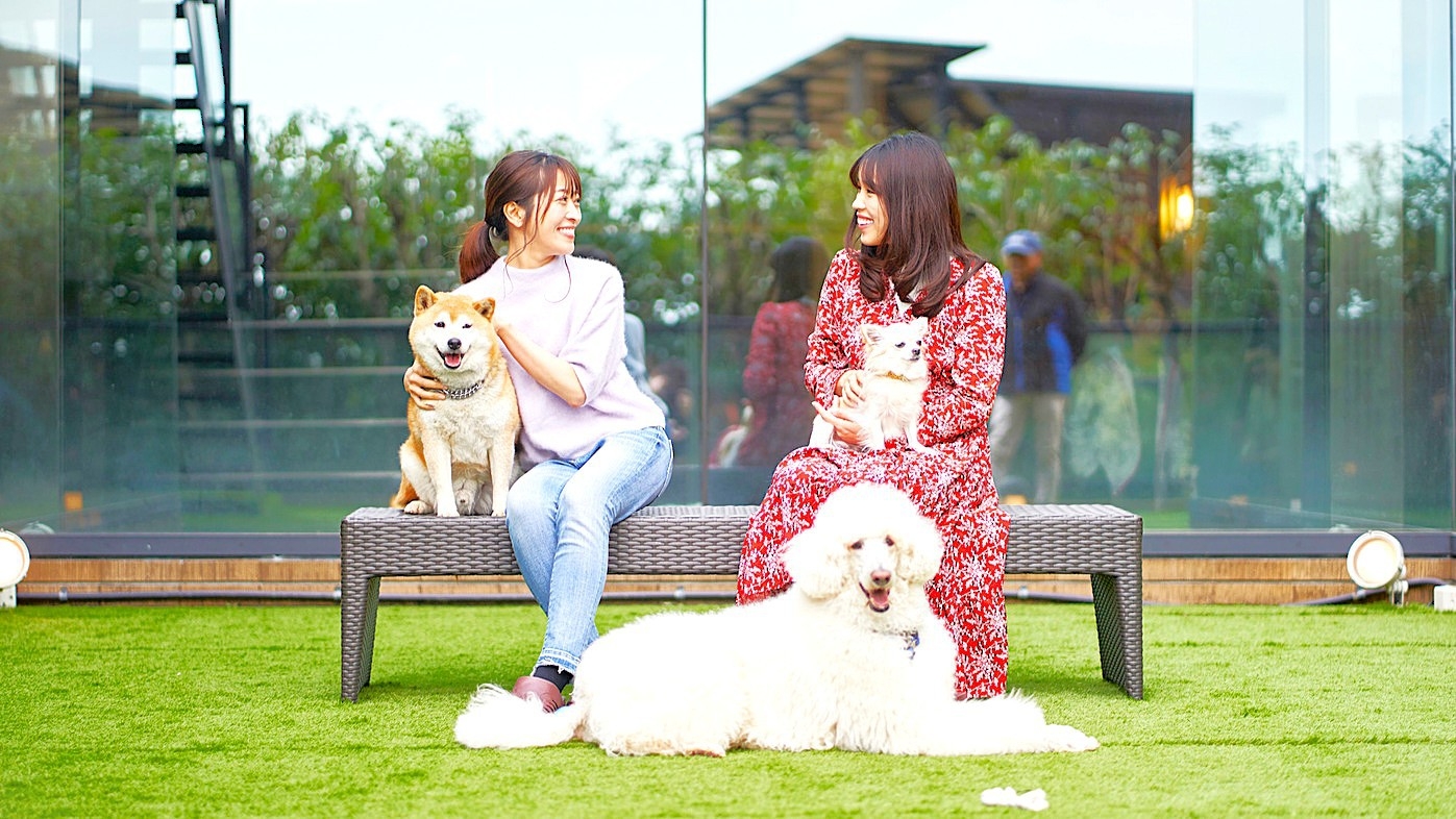 【スタンダードプラン】愛犬と過ごすリゾートライフ＜食事なし＞