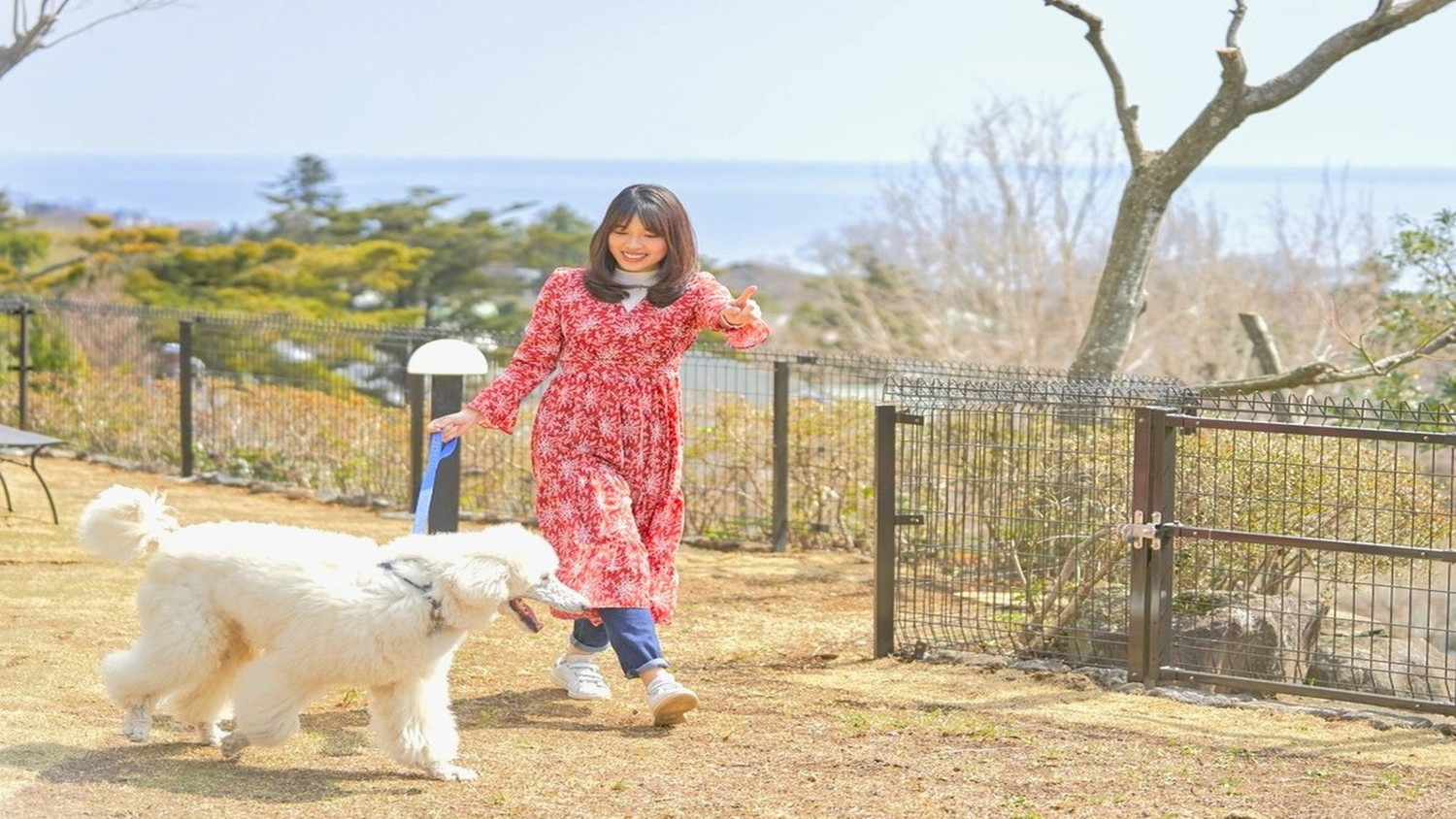 【スタンダードプラン】愛犬と過ごすリゾートライフ＜食事なし＞
