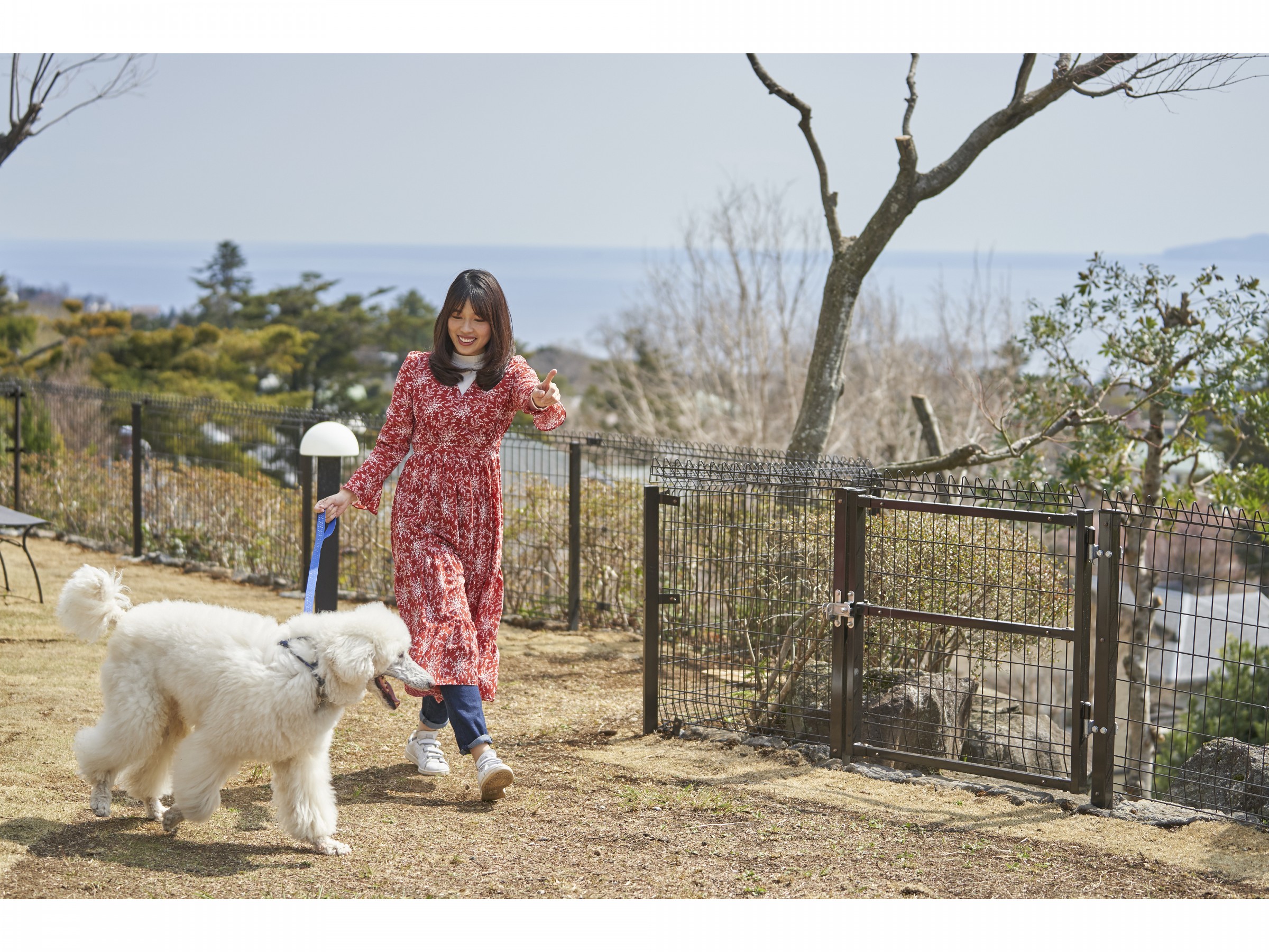 愛犬コミュニティ広場（屋外）