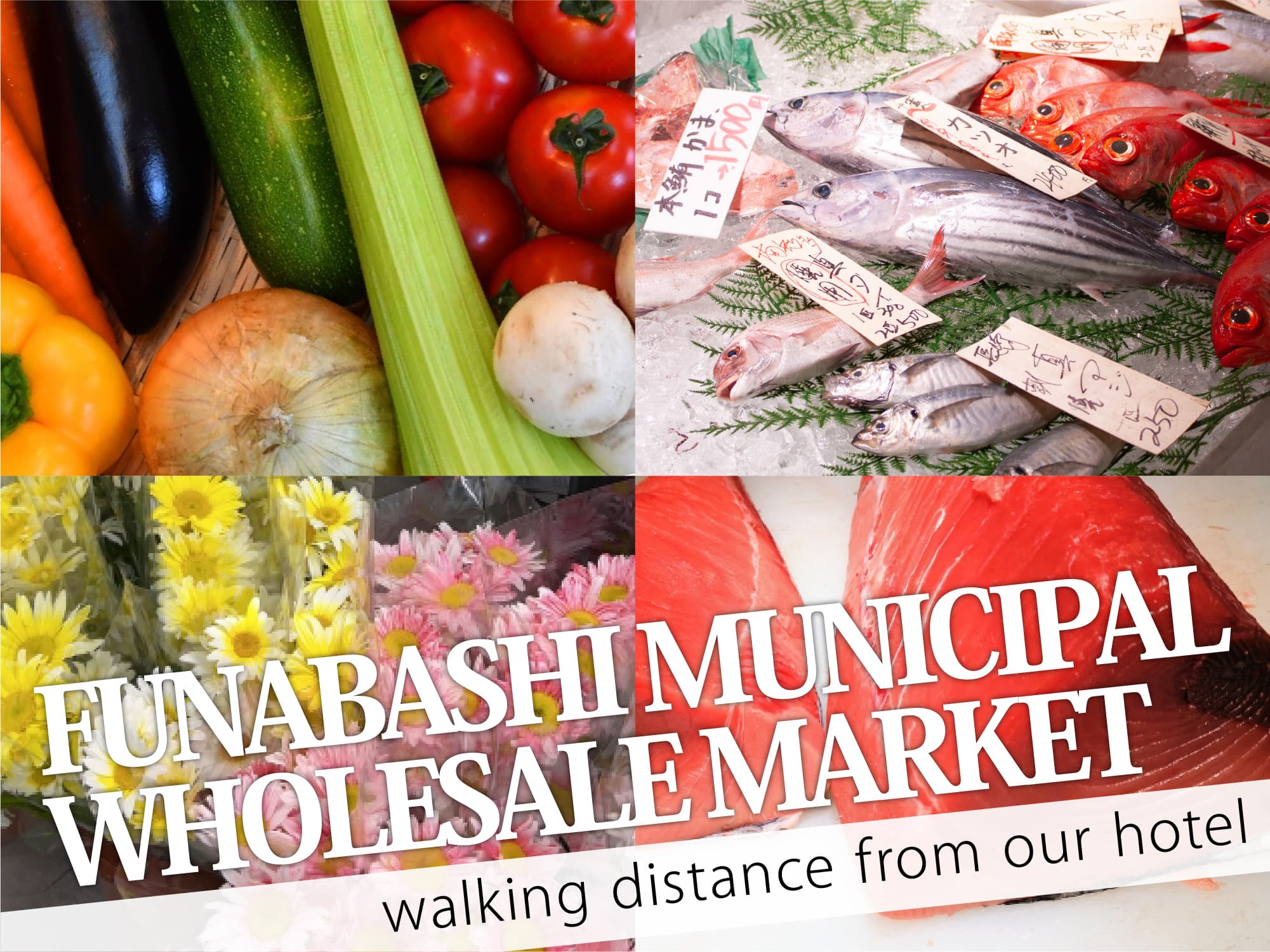 Funabashi Municipal Wholesale Market（船橋市地方卸売市場）