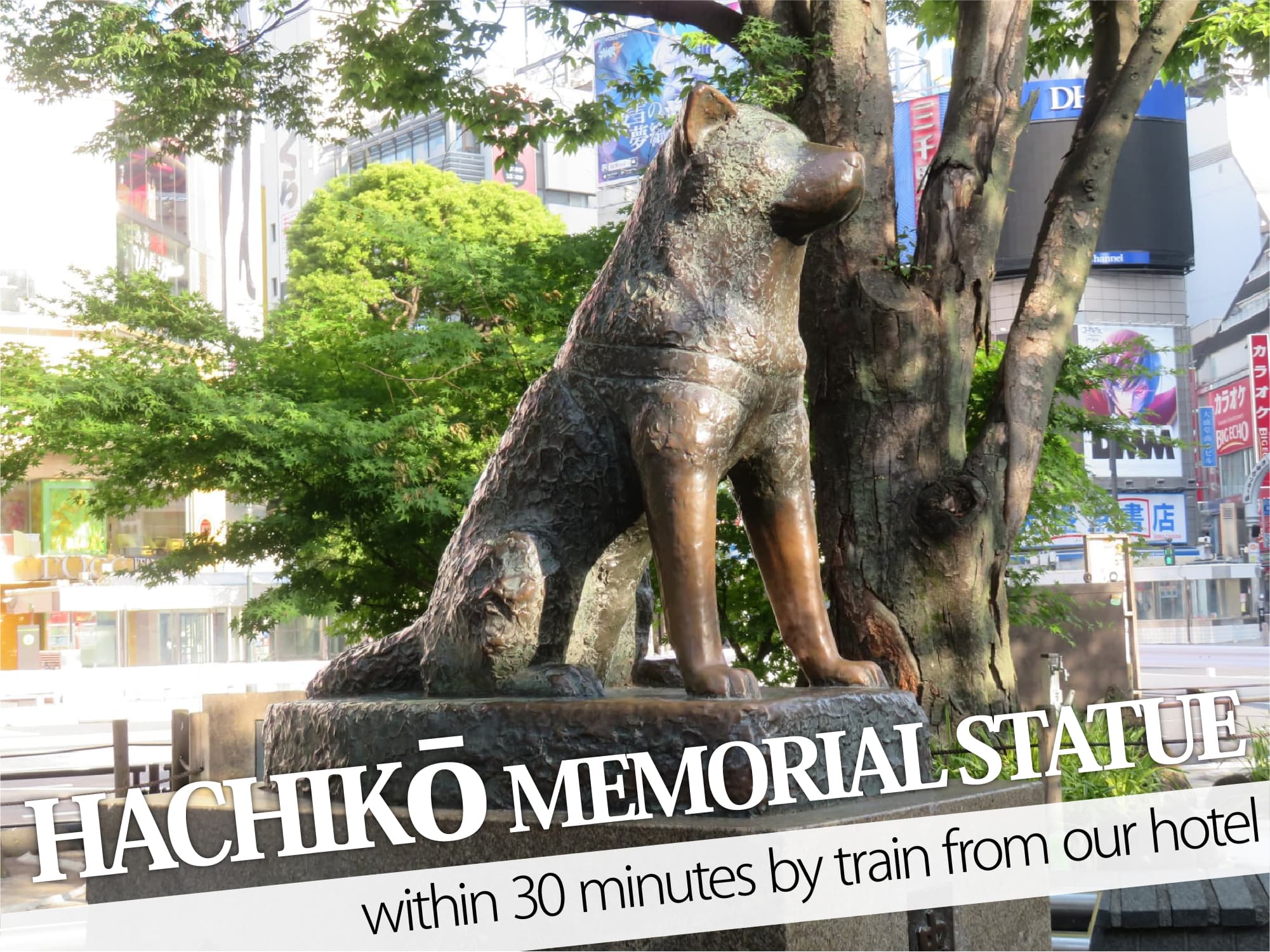 Hachiko Statue（忠犬ハチ公像）
