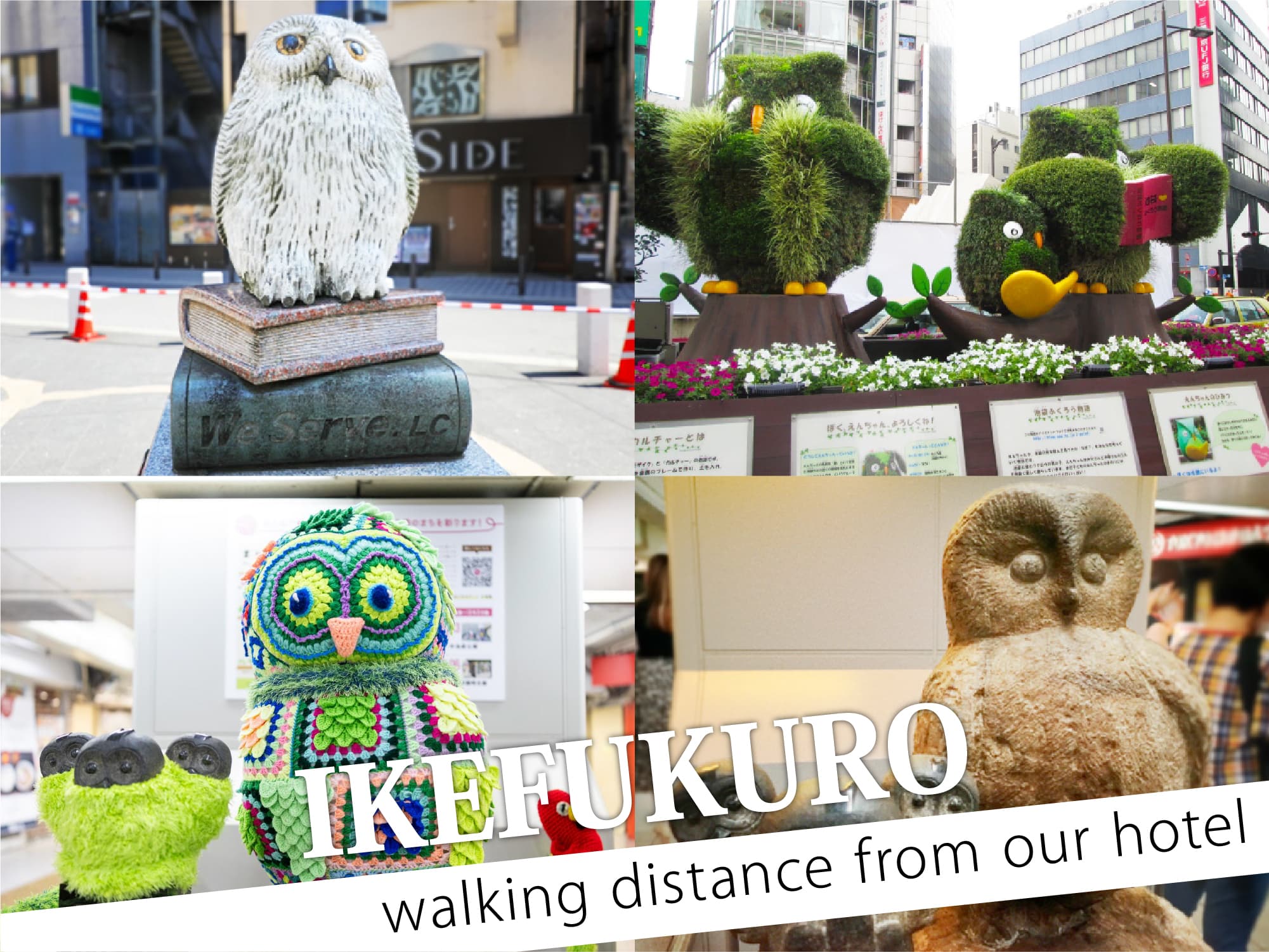 Ikefukurou（いけふくろう）