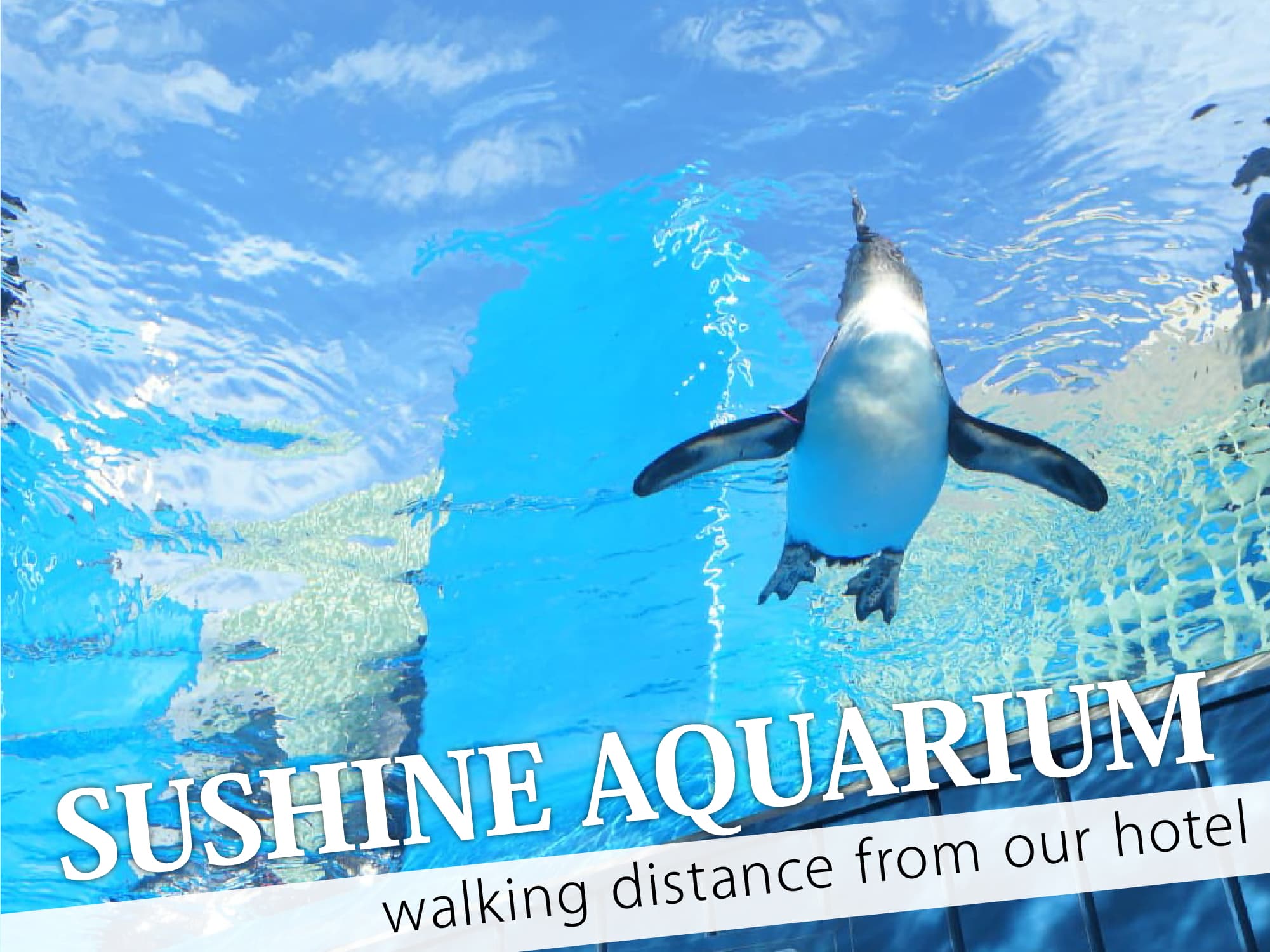 Sunshine Aquarium（サンシャイン水族館）