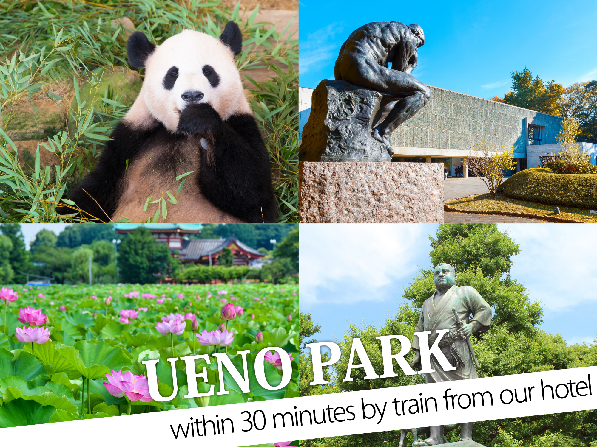 Ueno Park（上野公園）