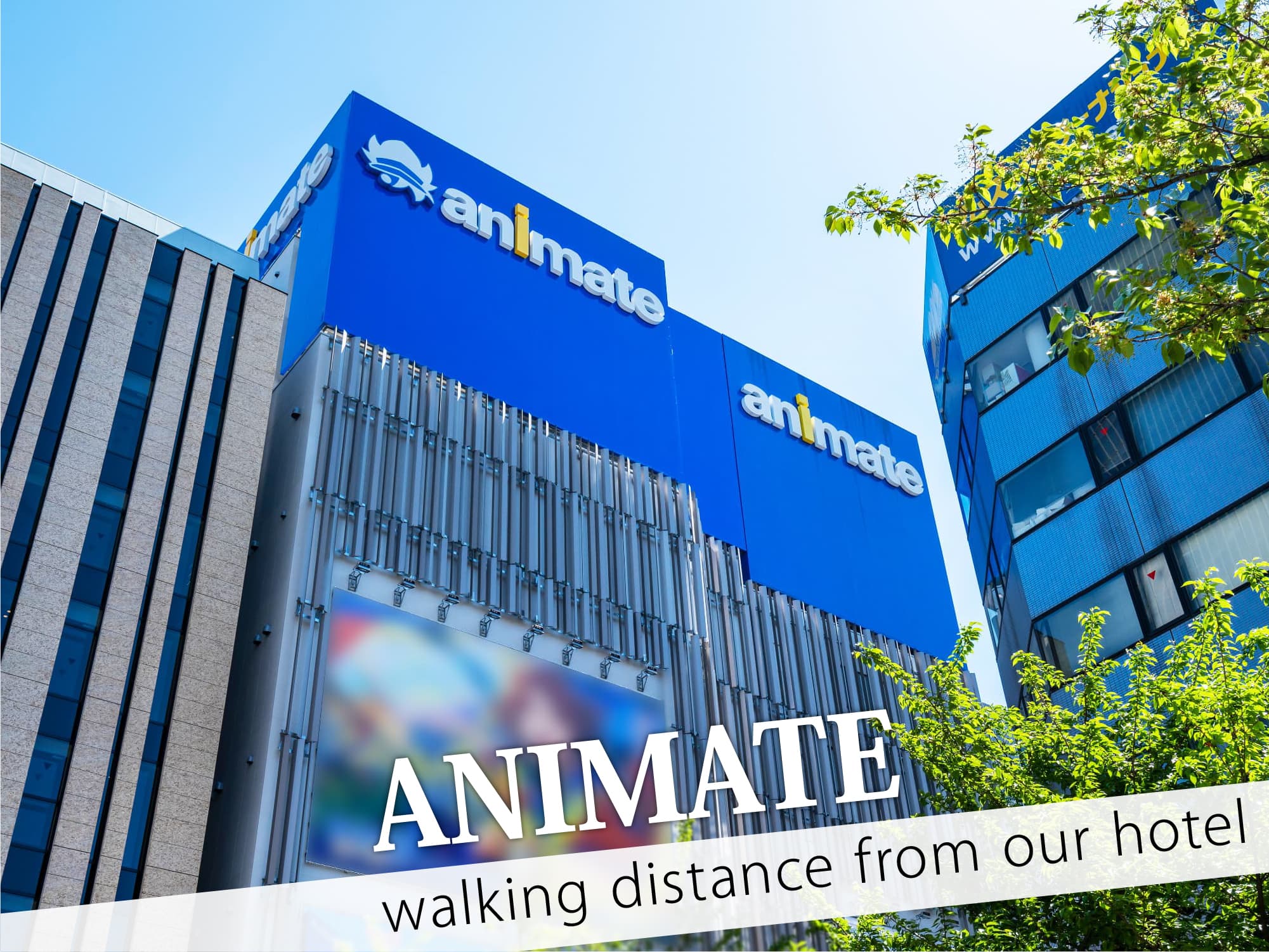 Animate（アニメイト）