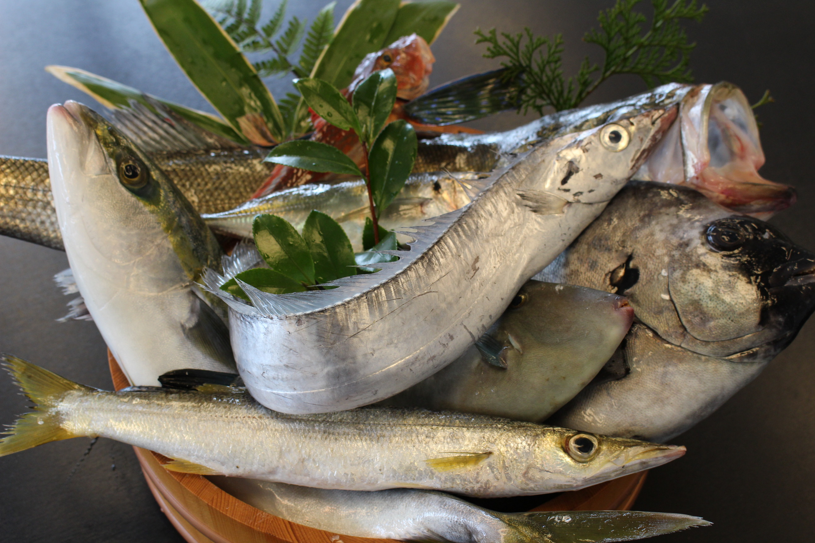 源泉100 かけ流しの宿 強羅茶寮 宿泊予約 楽天トラベル 源泉100 かけ流しの宿 強羅茶寮 宿泊予約 楽天トラベル