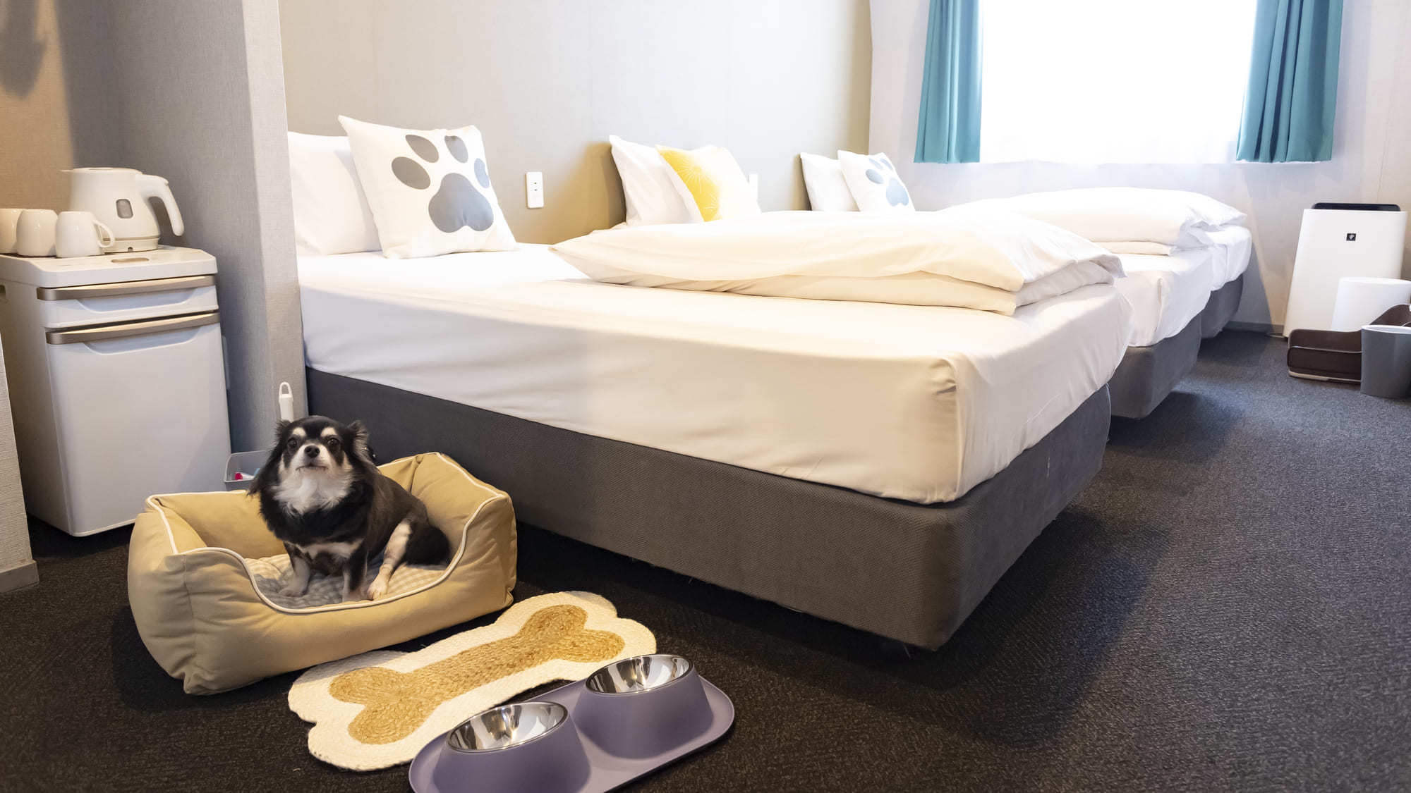 【WANDAFUL ROOMステイ☆】愛犬との旅がもっと快適に♪ ※宿泊同意書提出要※（食事なし）