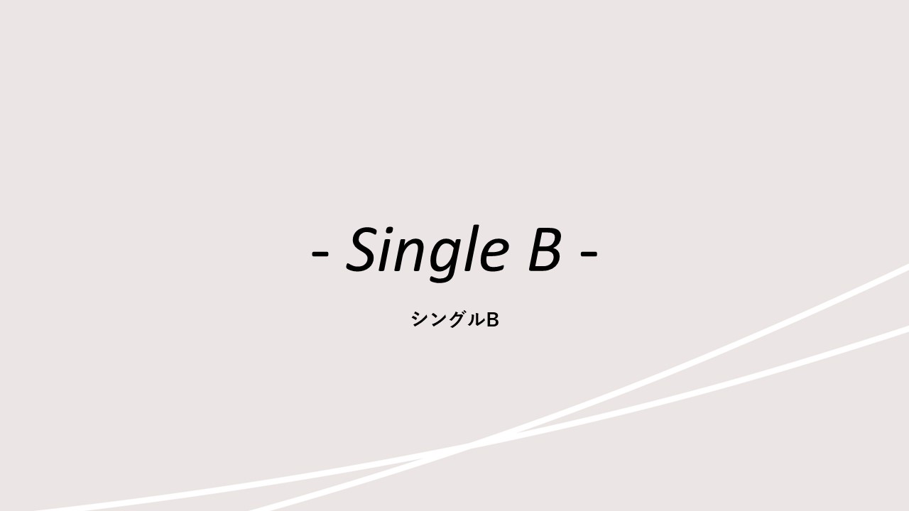 客室紹介(シングルB)