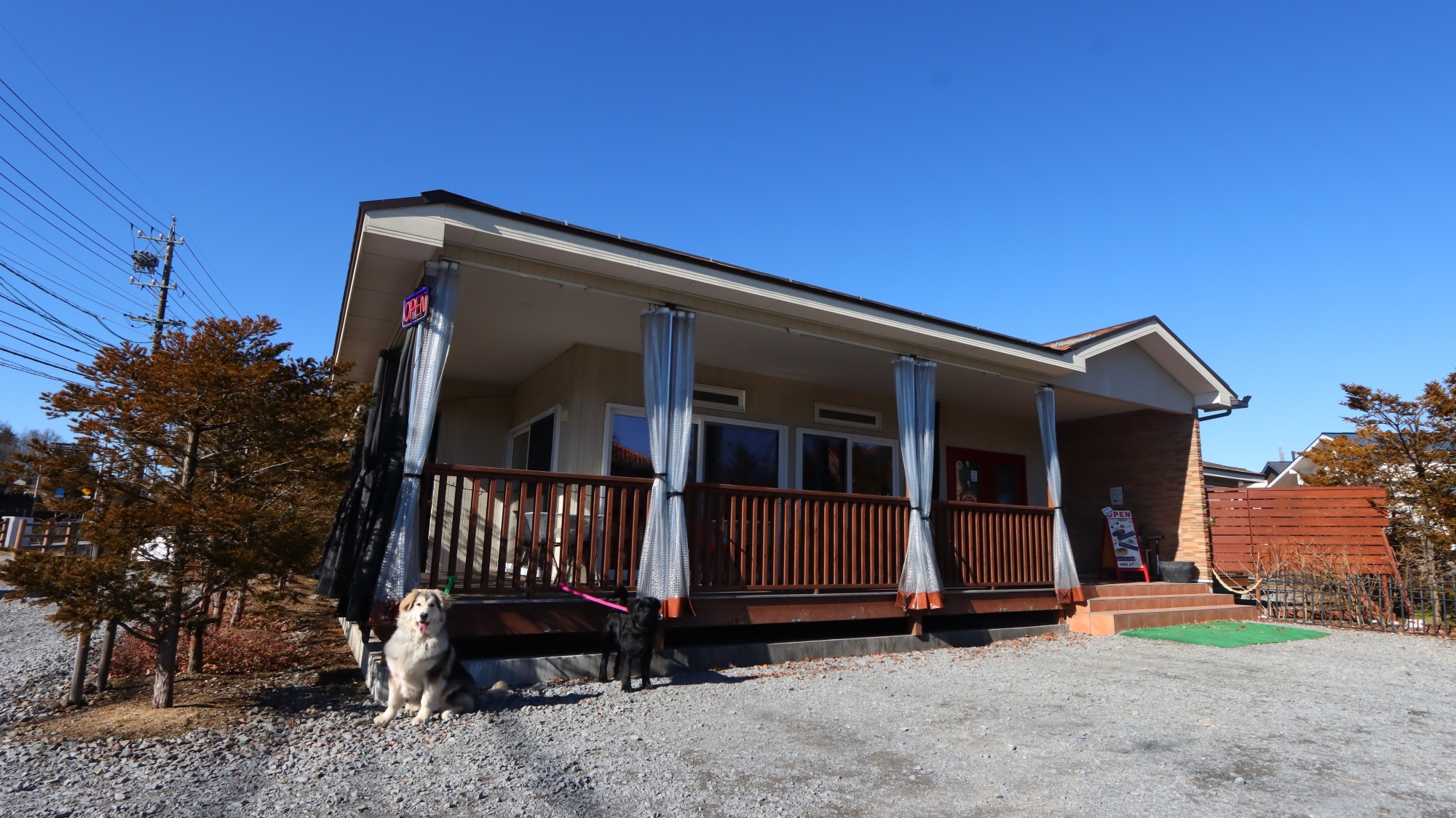 【外観】ワンちゃんと一緒にお越しください。小型犬から大型犬まで大歓迎です！