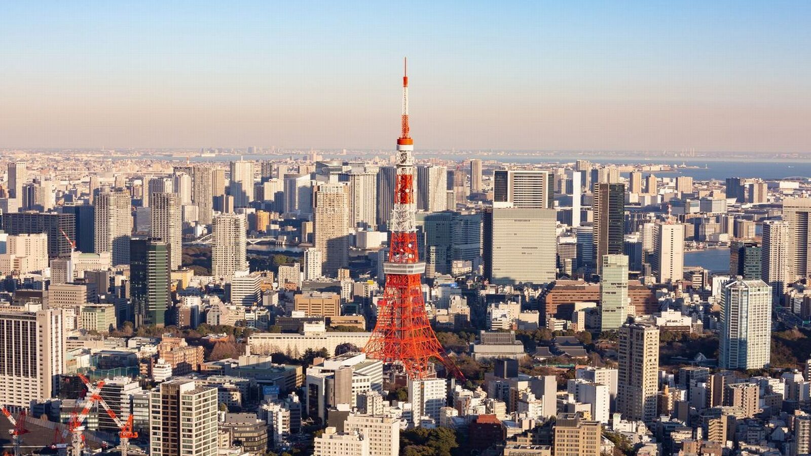 東京タワーメインデッキ入場券付プラン　素泊まり 　☆竹芝駅すぐ！/浜松町駅より8分☆