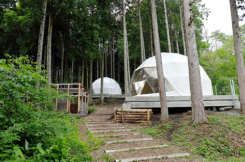 Dキャンプ場ドームテント
