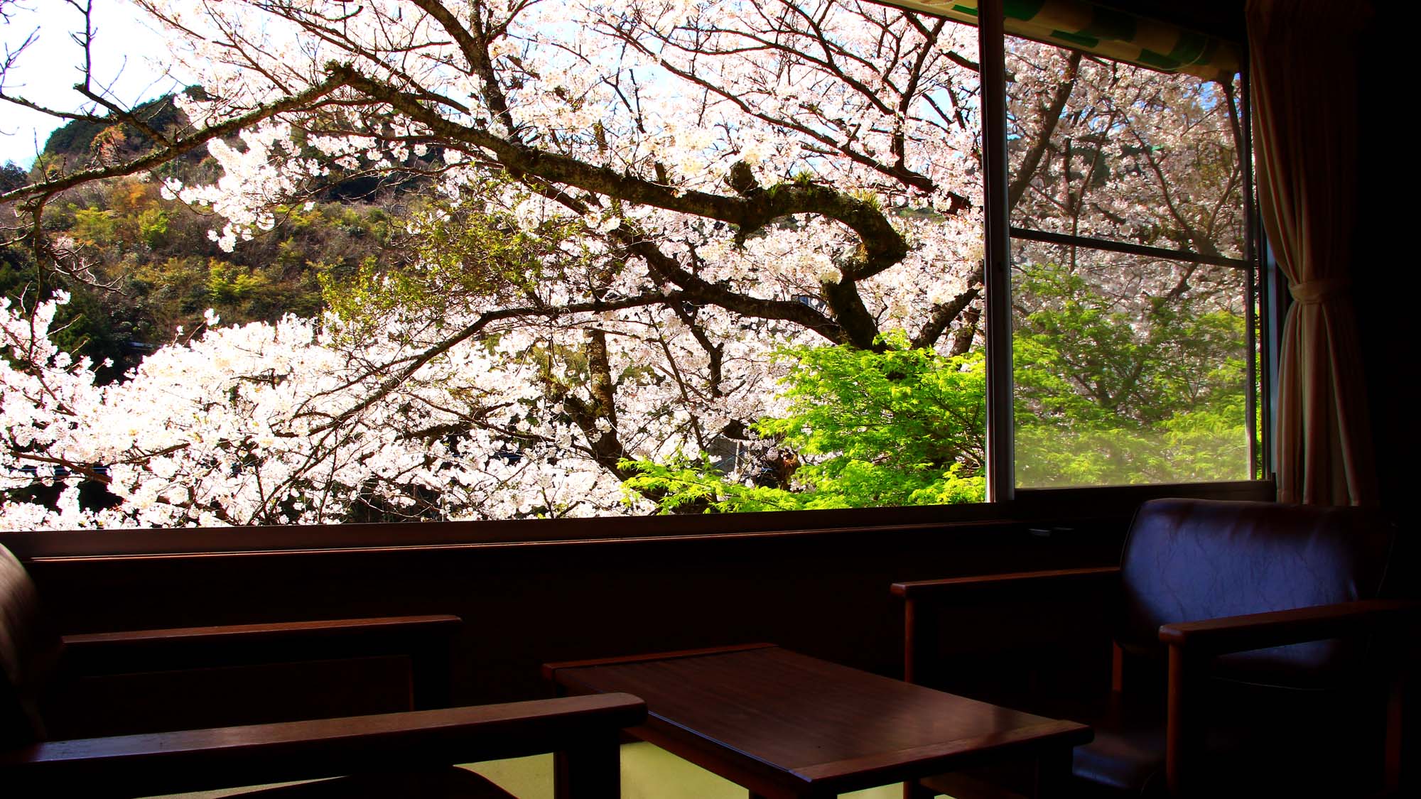 【春】大部屋からの景色