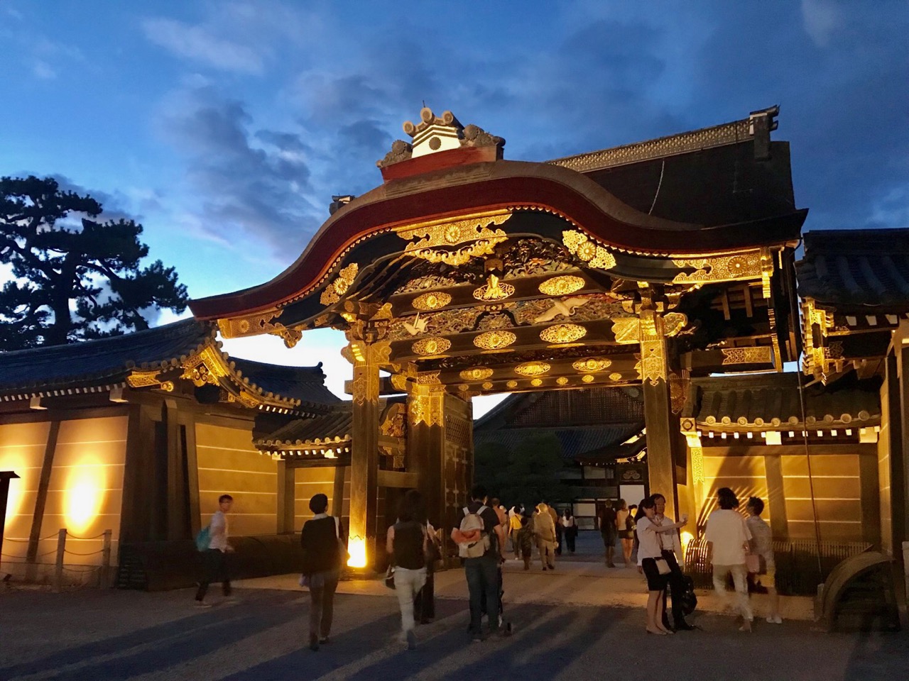 京都観光におすすめプラン！（写真はライトアップされた二条城）