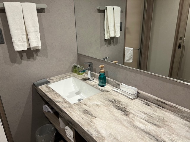 洗面台（デラックスツインルーム）