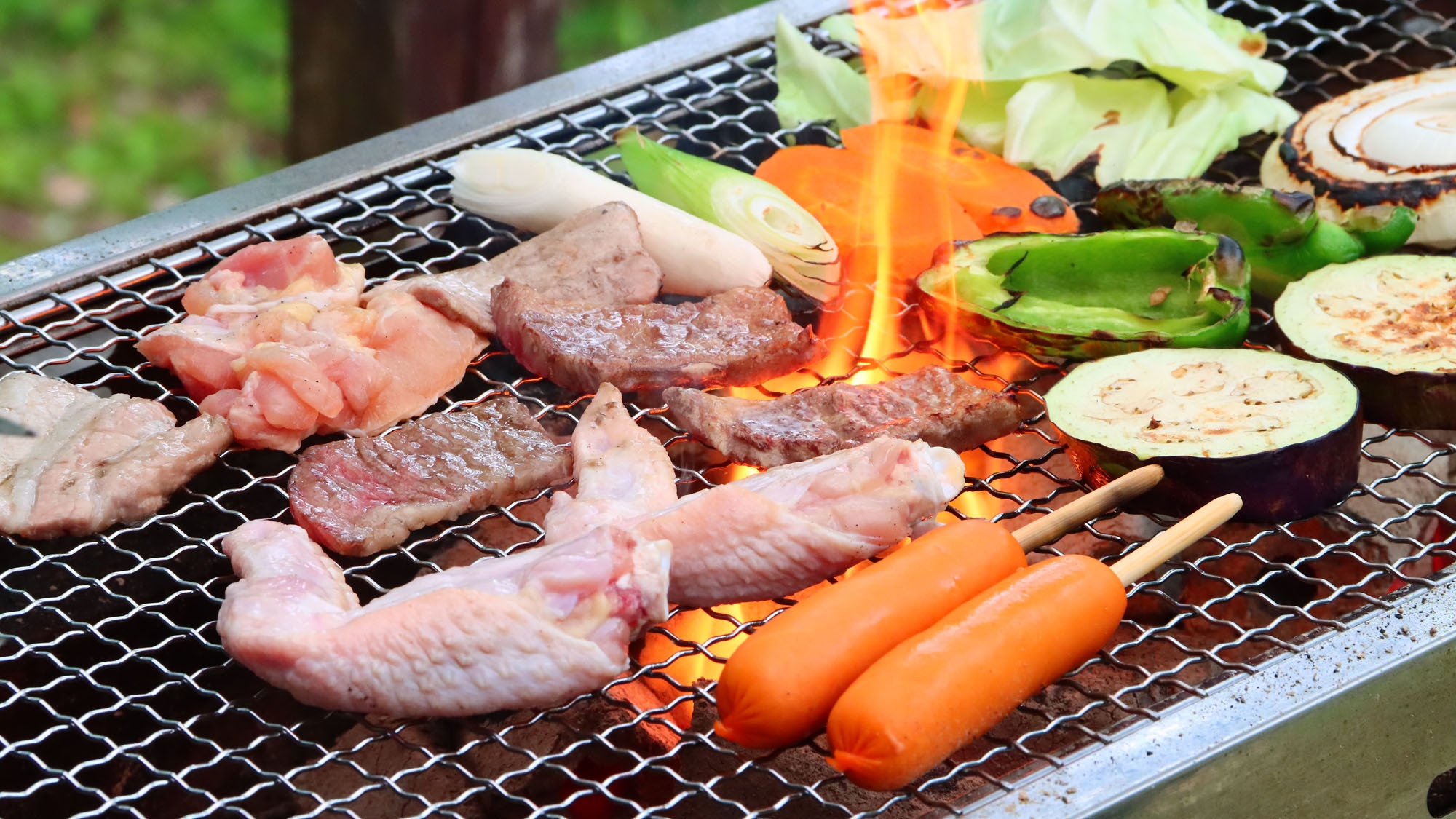【お盆/年末年始/GW】コテージのデッキでわいわいBBQ！宮崎牛＆鹿児島黒豚が美味しい【BBQ】