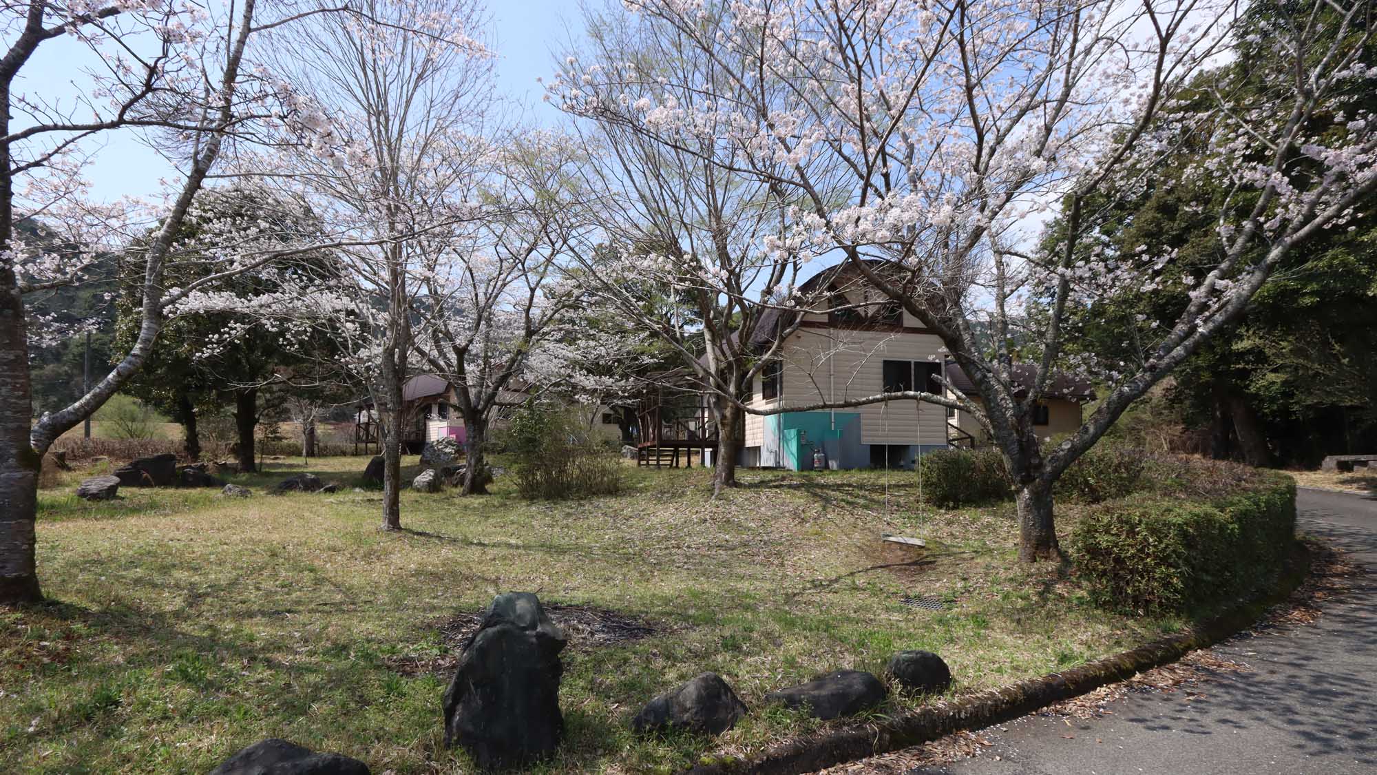 春の湯ったり館はお花見しながらバーベキューも！