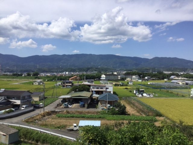 お部屋から一望できる九度山の田園と紀伊葛城山