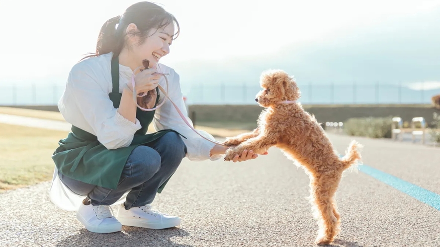 ワンちゃんと一緒に東横INNに泊まろう