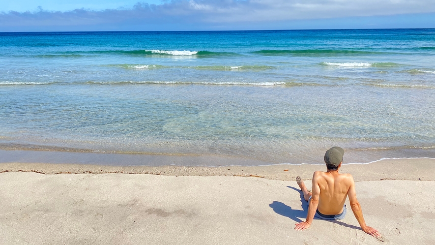 吉佐美大浜ビーチ