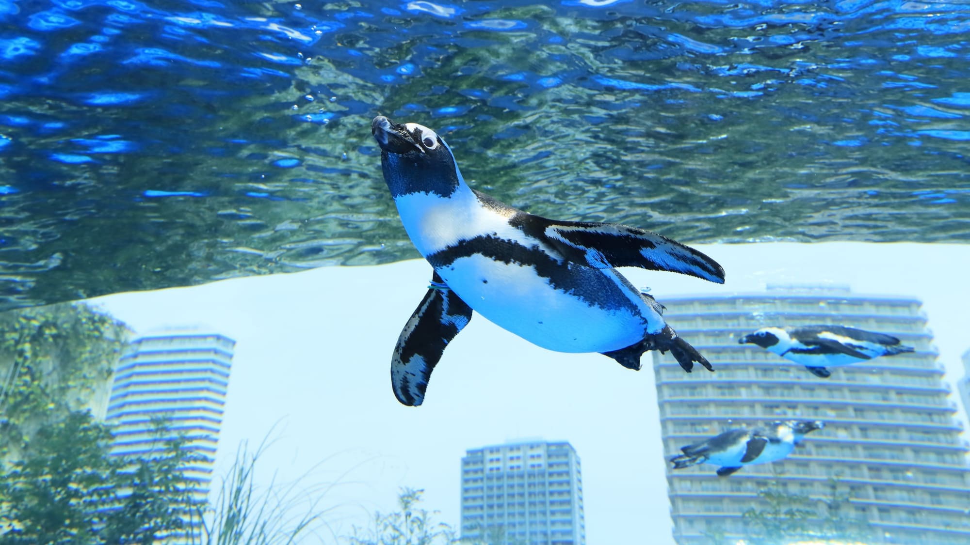 【サンシャイン水族館チケット付き】12:00までのレイトチェックアウトで快適な滞在を