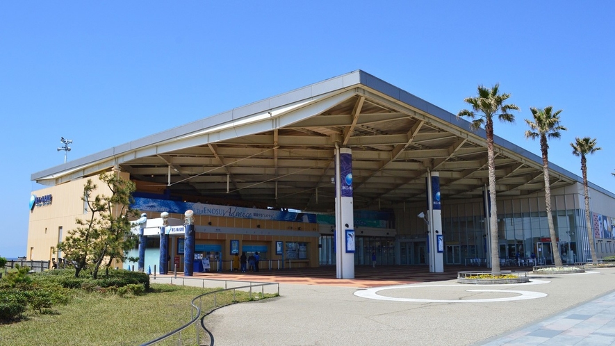 ～新江ノ島水族館～