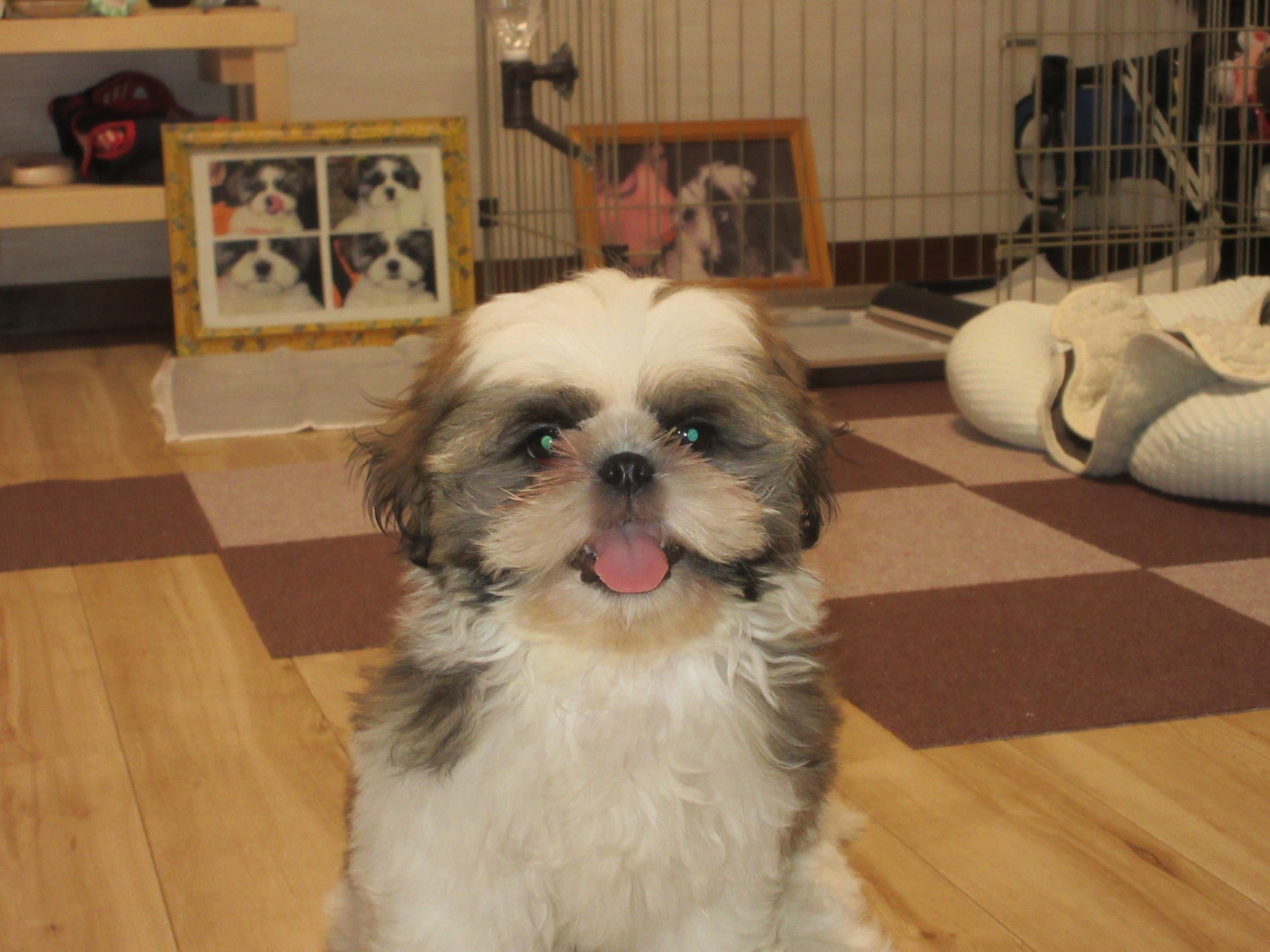 ◆御膳プラン！夕食は金目鯛の煮付け御膳・朝食は洋食です。