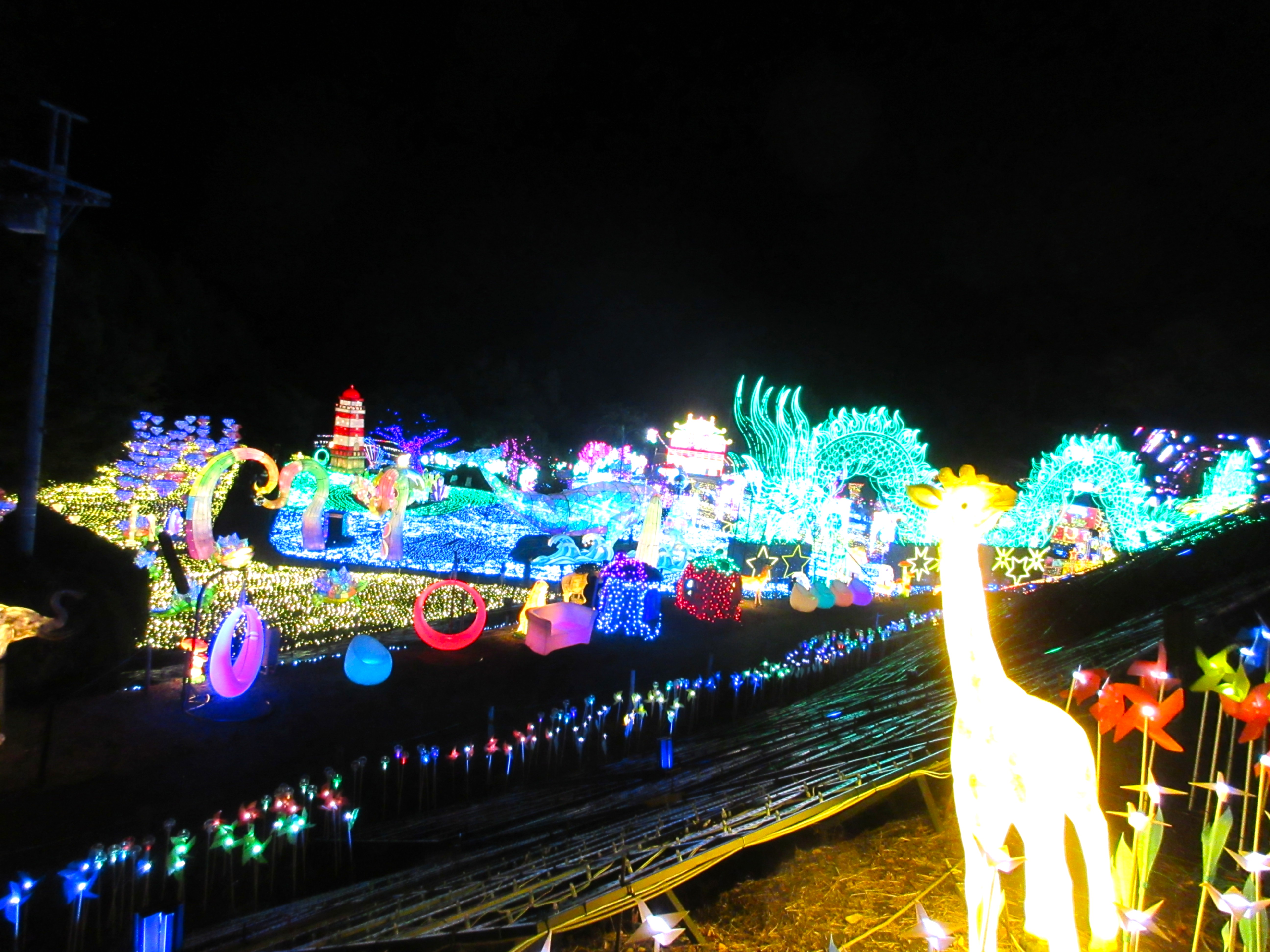 イルミネーション