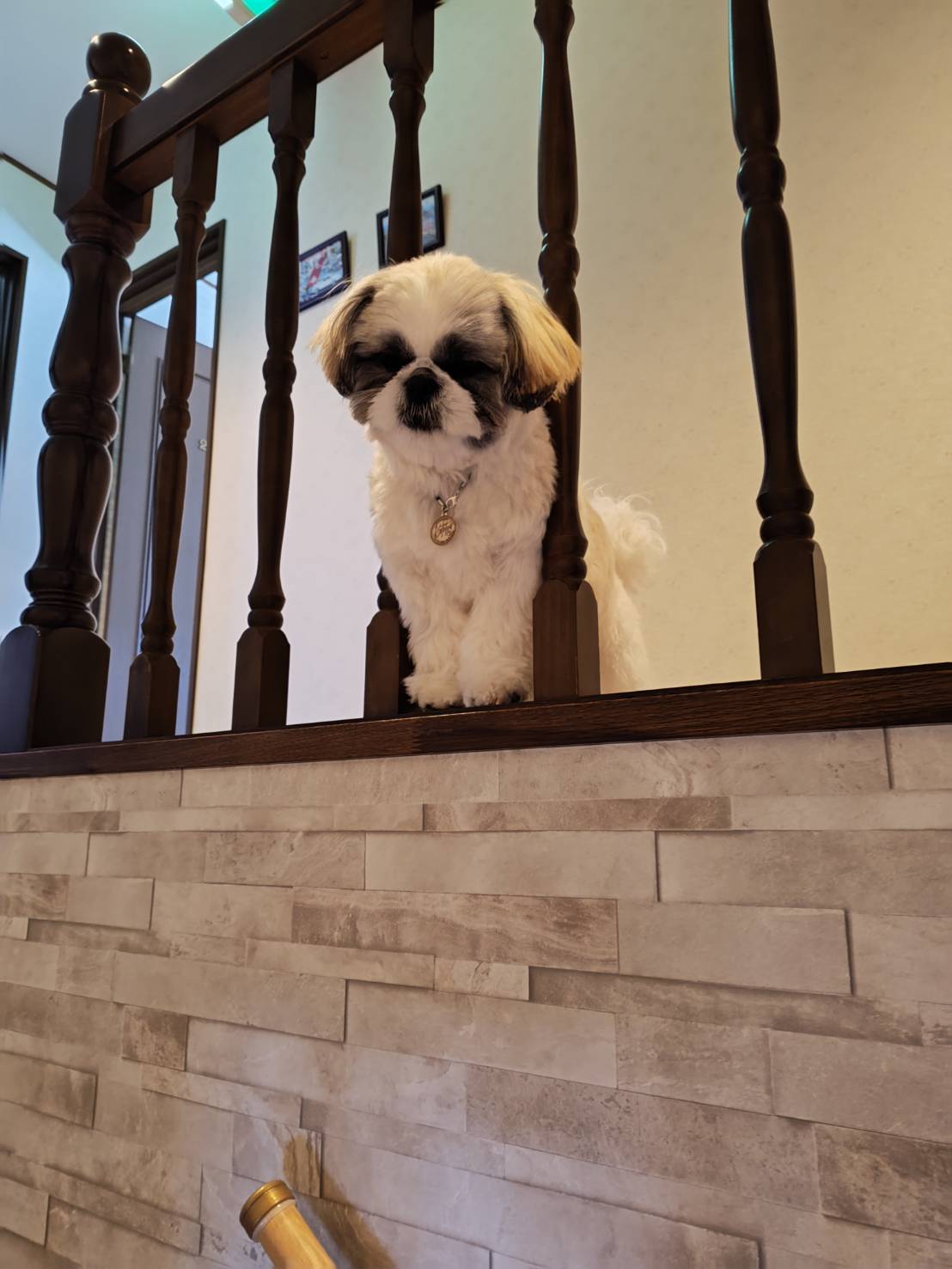 生後９か月になりました。