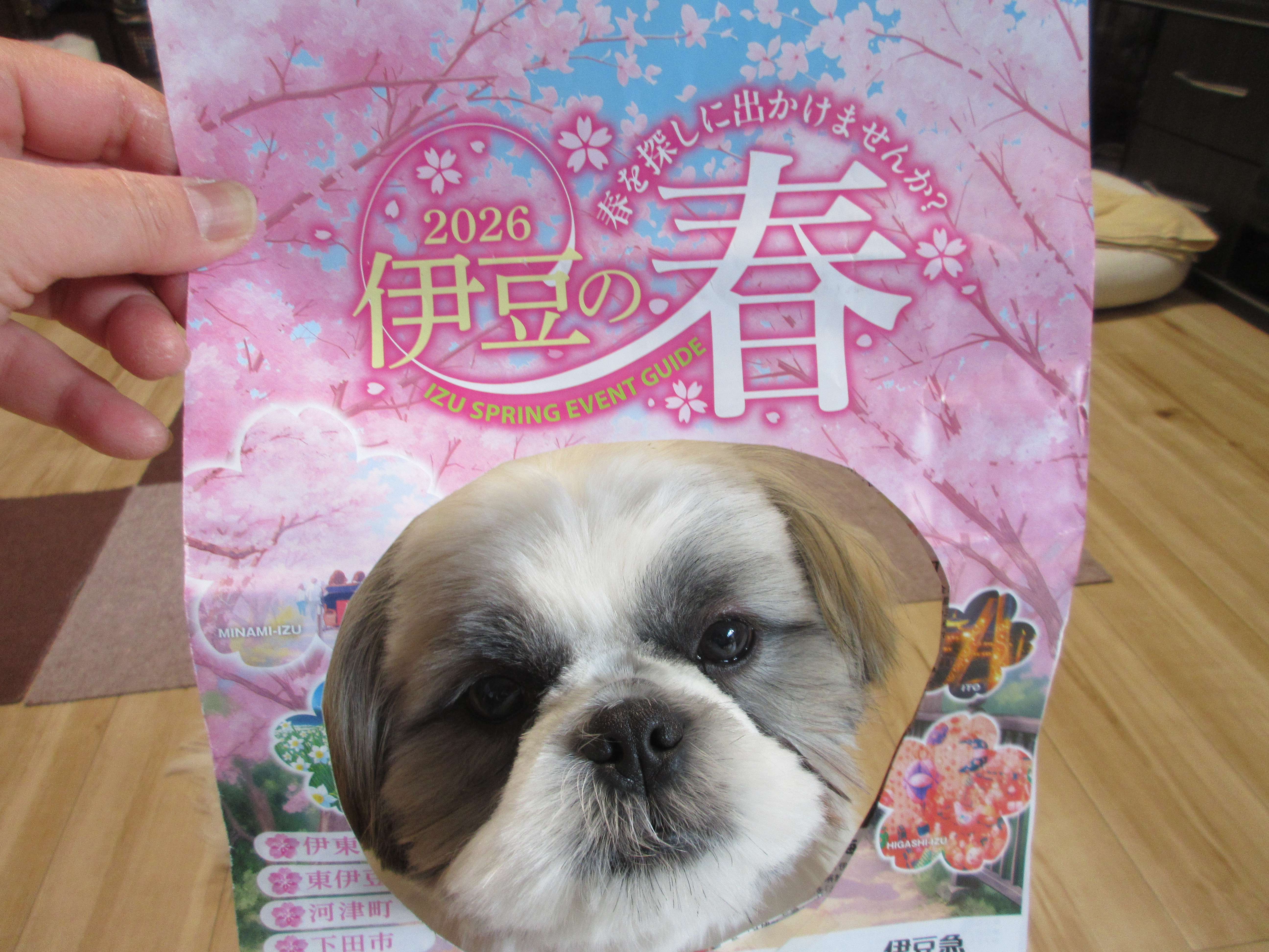 いち早い春の知らせ