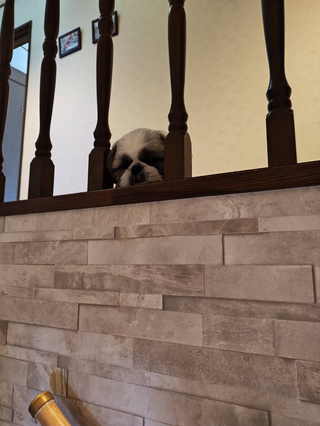 生後９か月になりました。