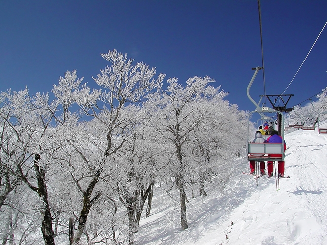 【春】月山スキー場