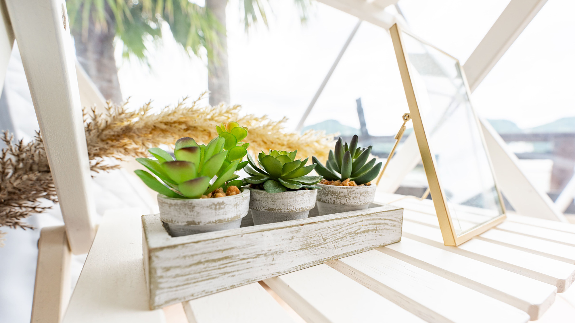 ・【ドームテント・フィッシャーマンズワーフ】小さな緑が息吹く空間で、海を独り占めする贅沢