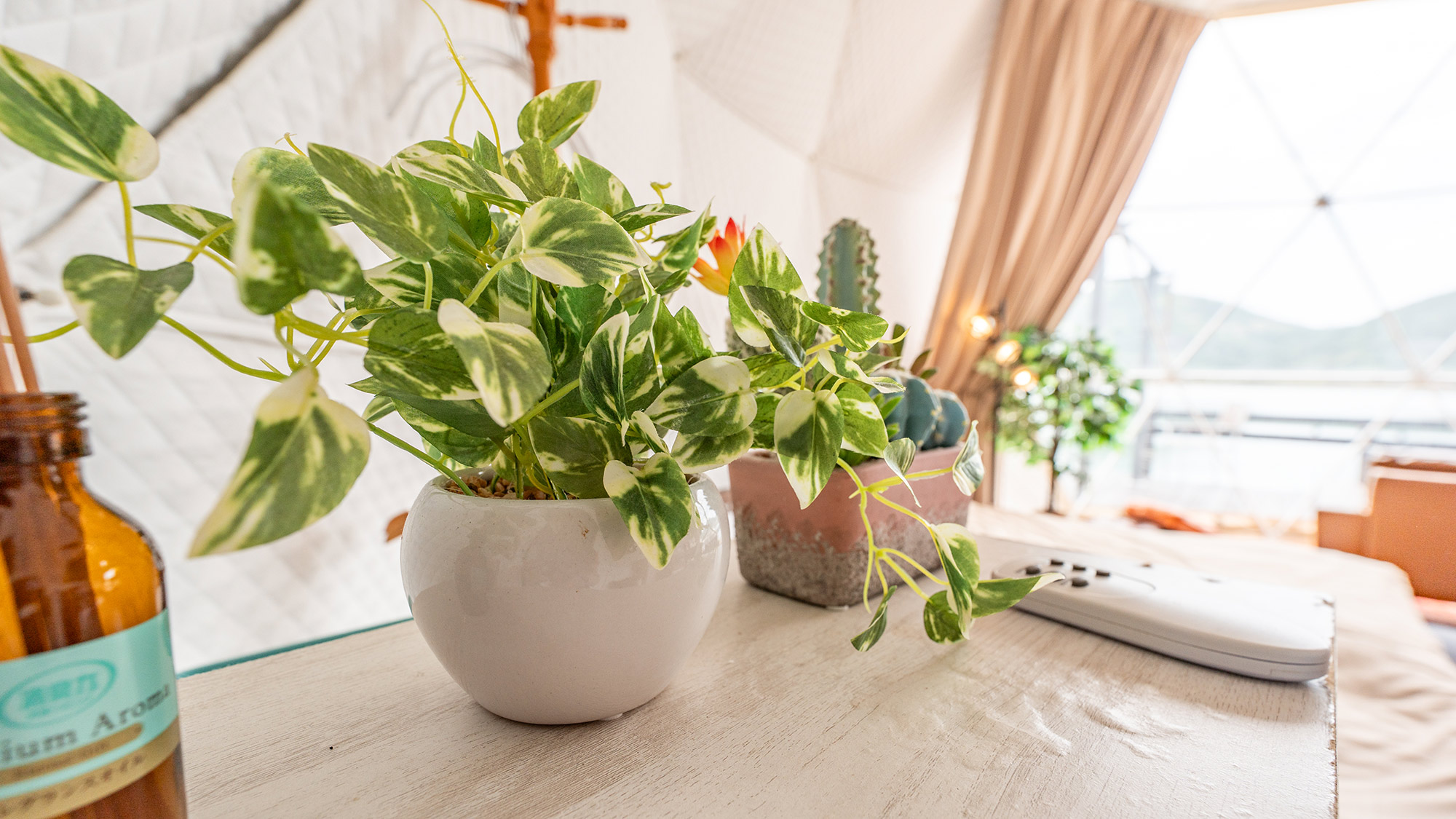 ・【ドームテント・ヘルシンキ】心落ち着く香りと緑。ドームで叶える極上のリラックス