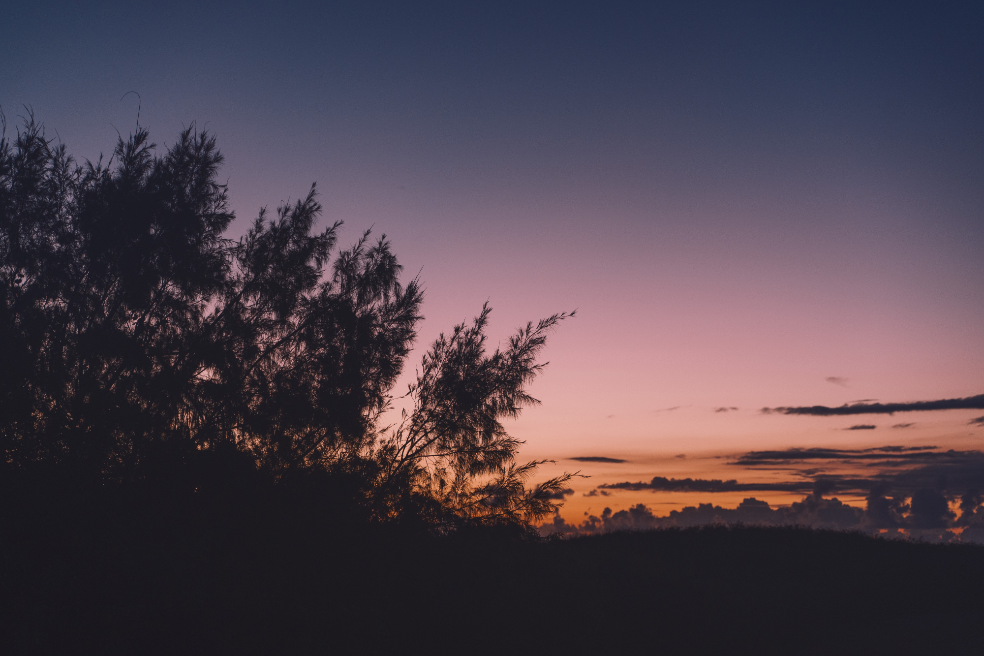 美しい夕焼け