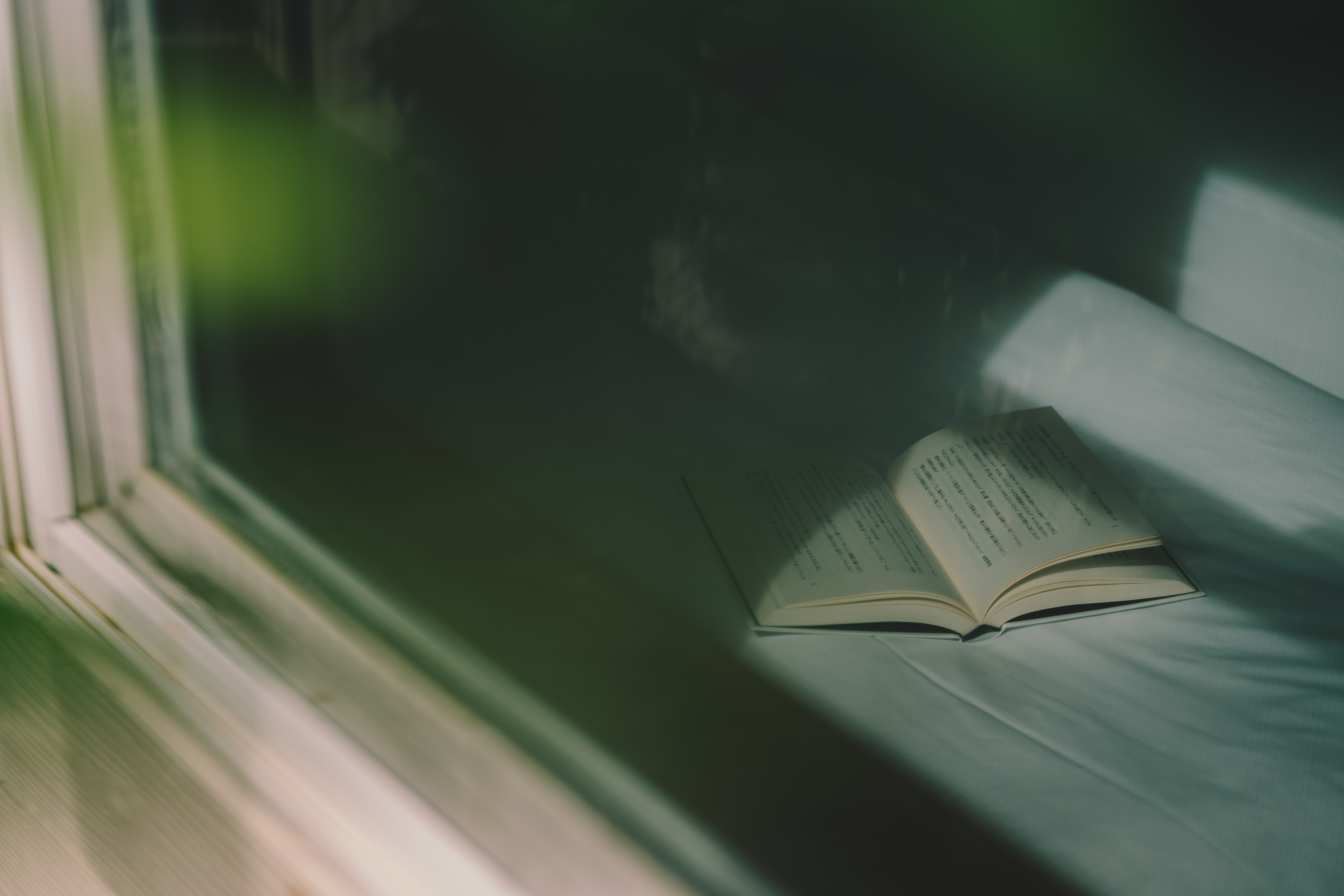 イメージ / 窓の外から太陽の光を感じて読書