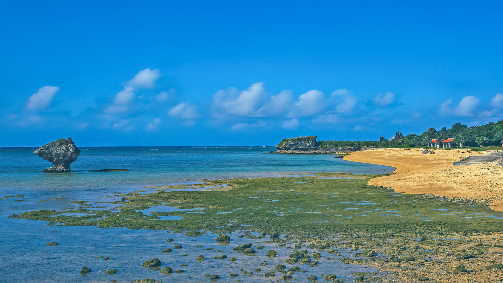 【渡具知ビーチ】当館から車で約13分