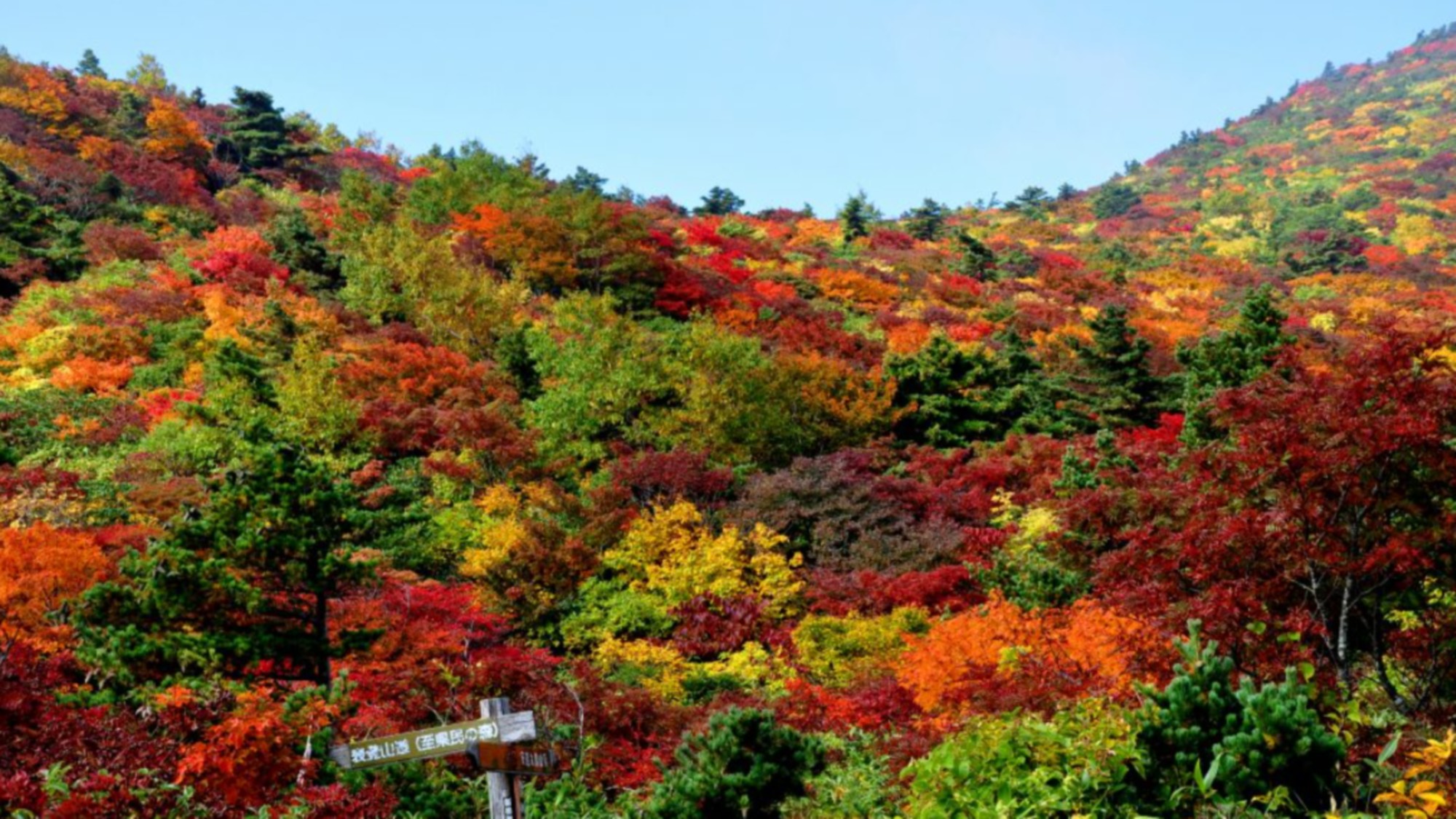 Autumn / 岳温泉の秋　色鮮やかな安達太良山の紅葉