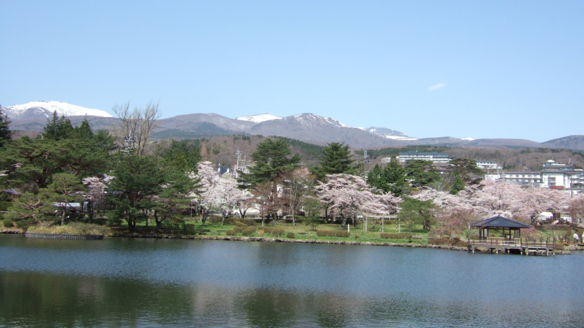 Spring / 岳温泉の春　鏡が池の桜