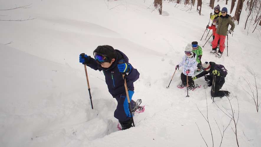 Snowshoe/スノーシュー