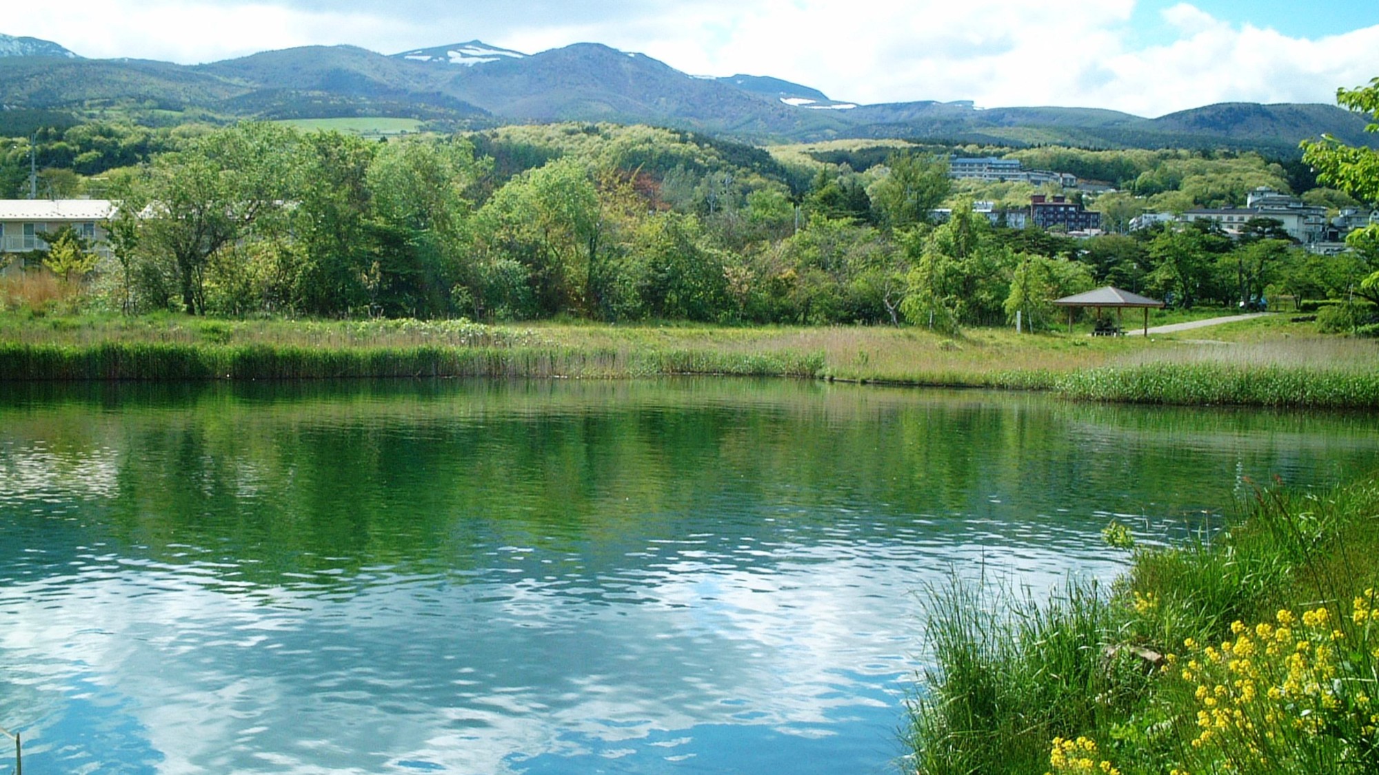 Spring / 岳温泉の春　新緑の鏡が池