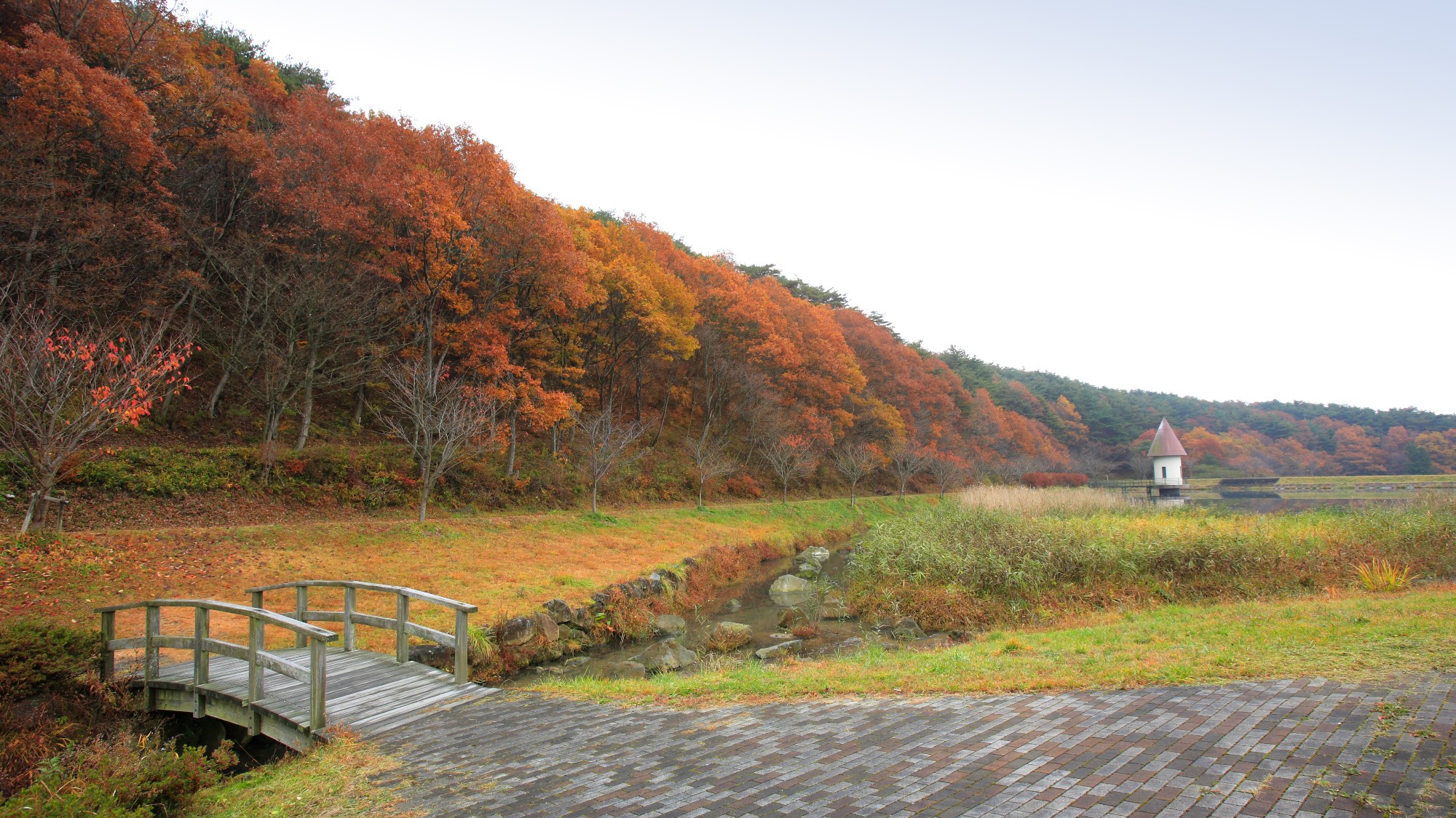 Autumn / 岳温泉の秋　鏡が池の紅葉