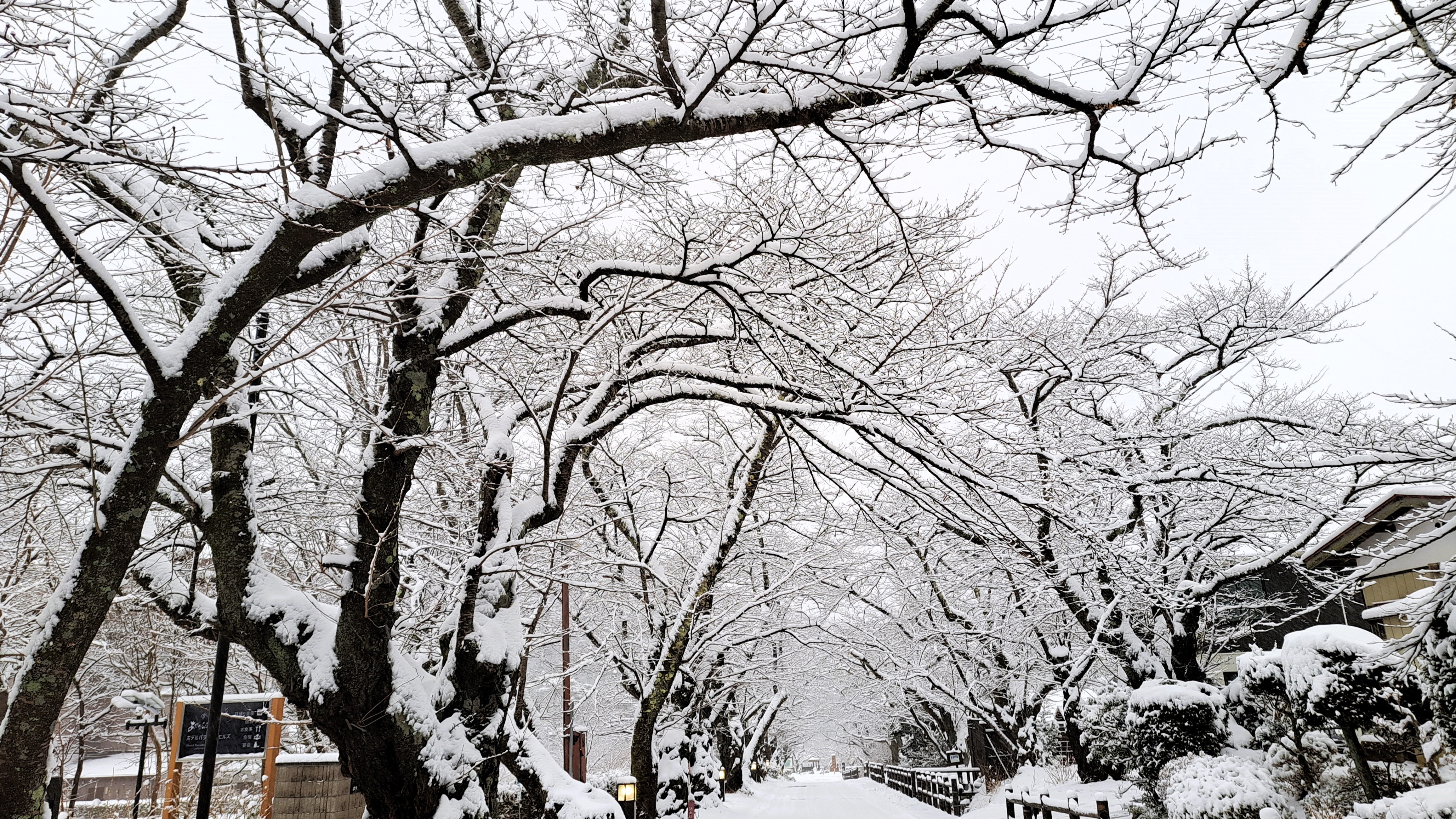 Winter / 岳温泉の冬