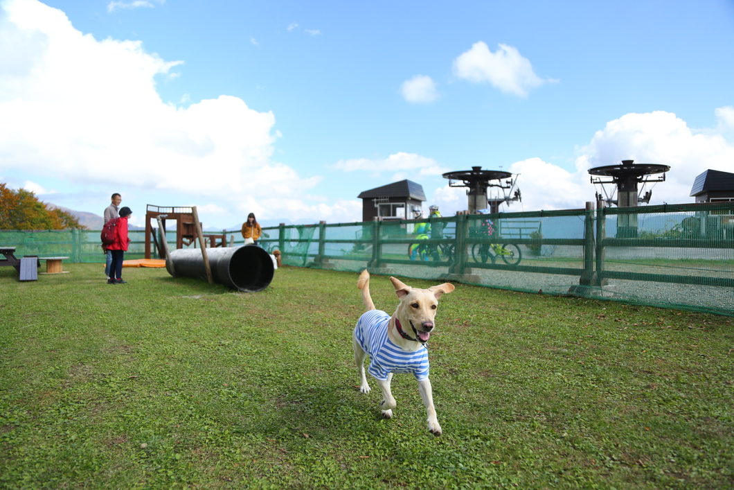 【愛犬OK】栂池ロープウェイチケット付プラン(往復)