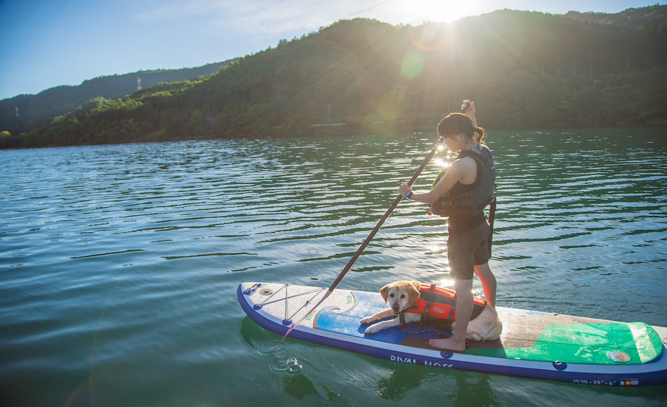 【返金不可】【愛犬OK】【素泊まり】白馬を満喫する素泊まりプラン