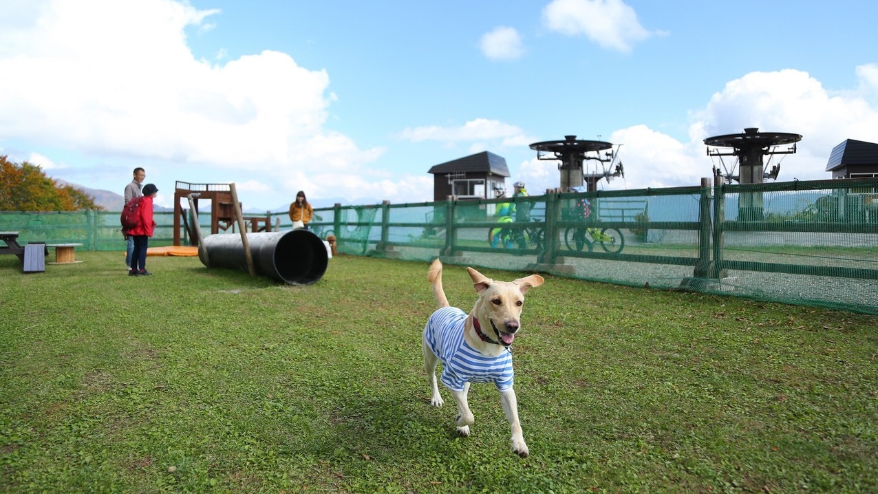 【返金不可】【２泊〜】【愛犬OK】栂池ロープウェイチケット付プラン(往復)