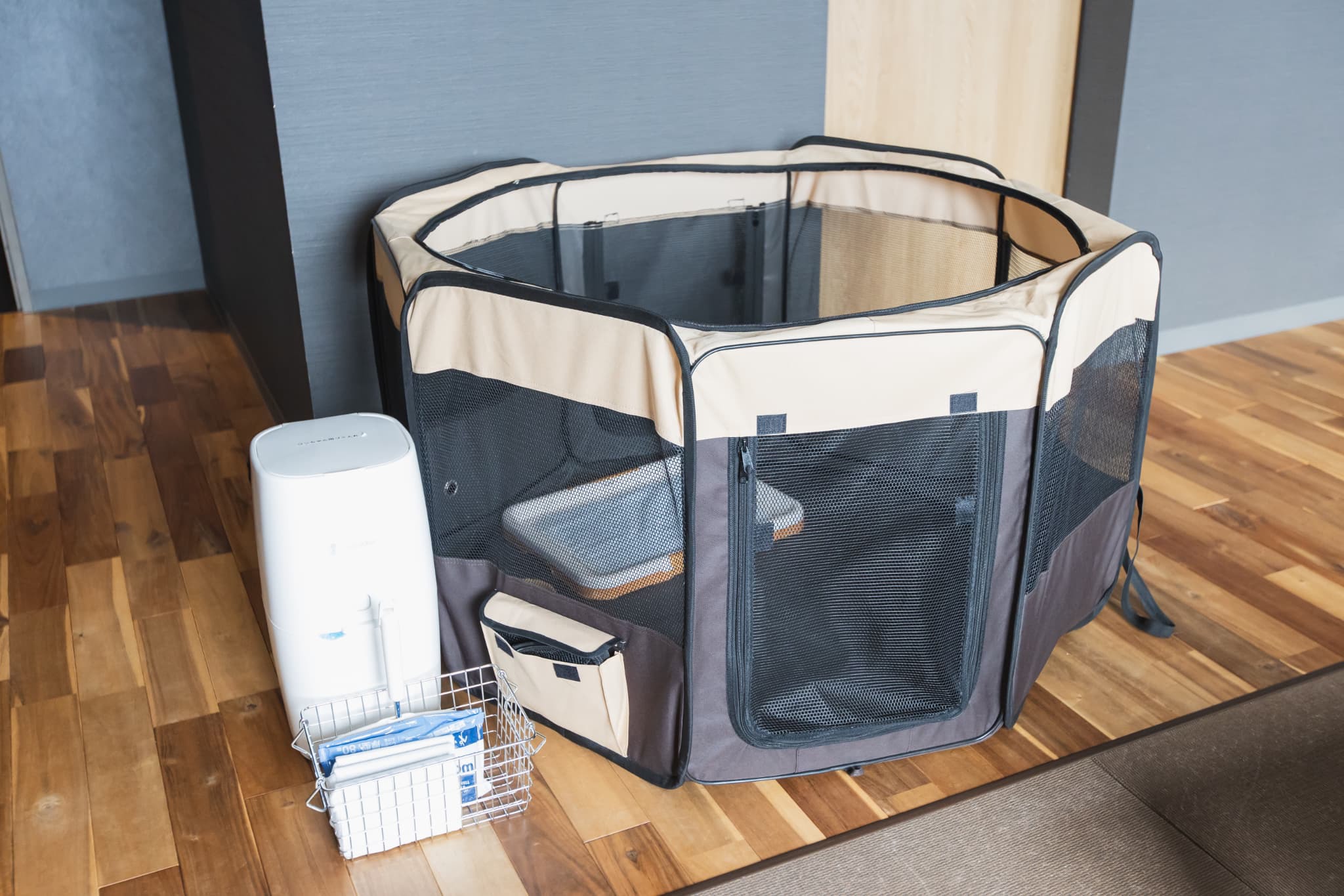 【返金不可】【愛犬OK】【素泊まり】白馬を満喫する素泊まりプラン