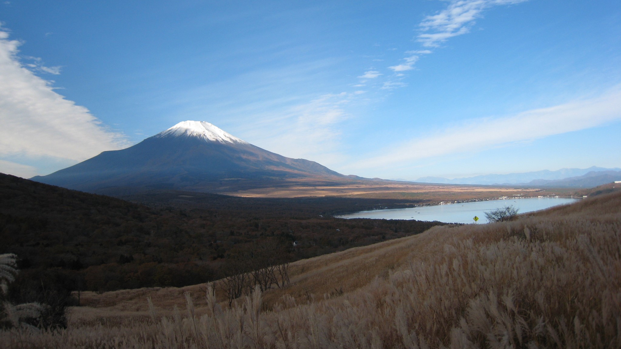 ススキと富士山