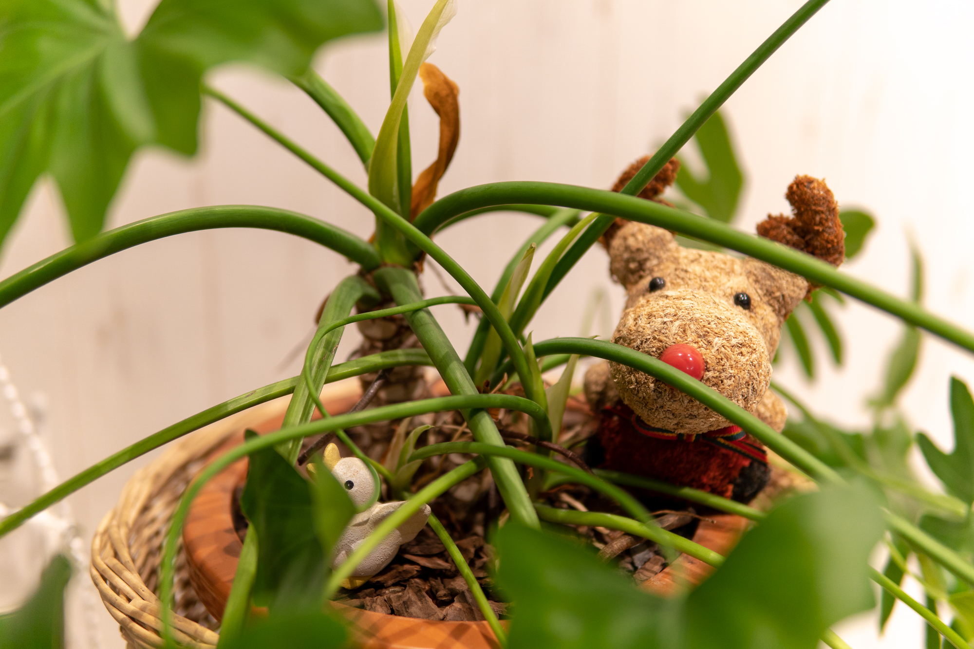 ペンションのかわいい仲間たち―恥ずかしがり屋のトナカイ