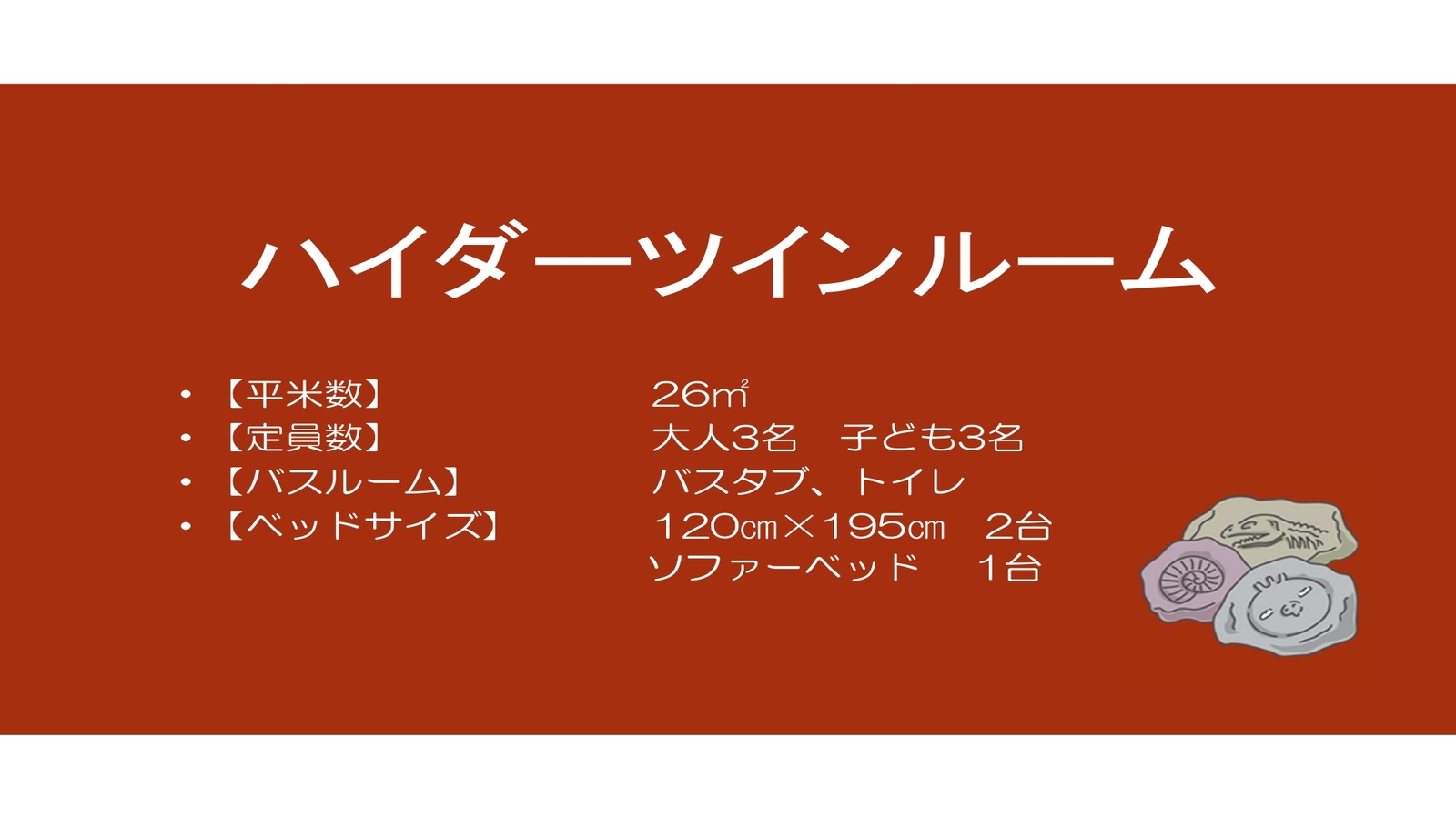 ハイダーツインルーム概要