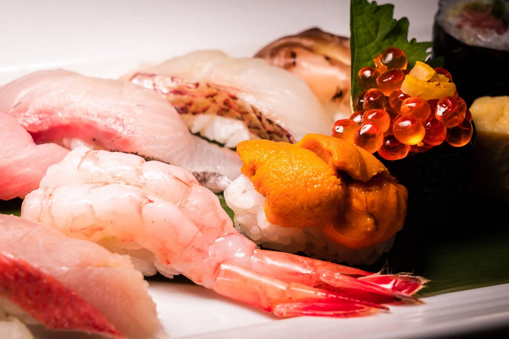 菊 寿司（KIKU SUSHI)